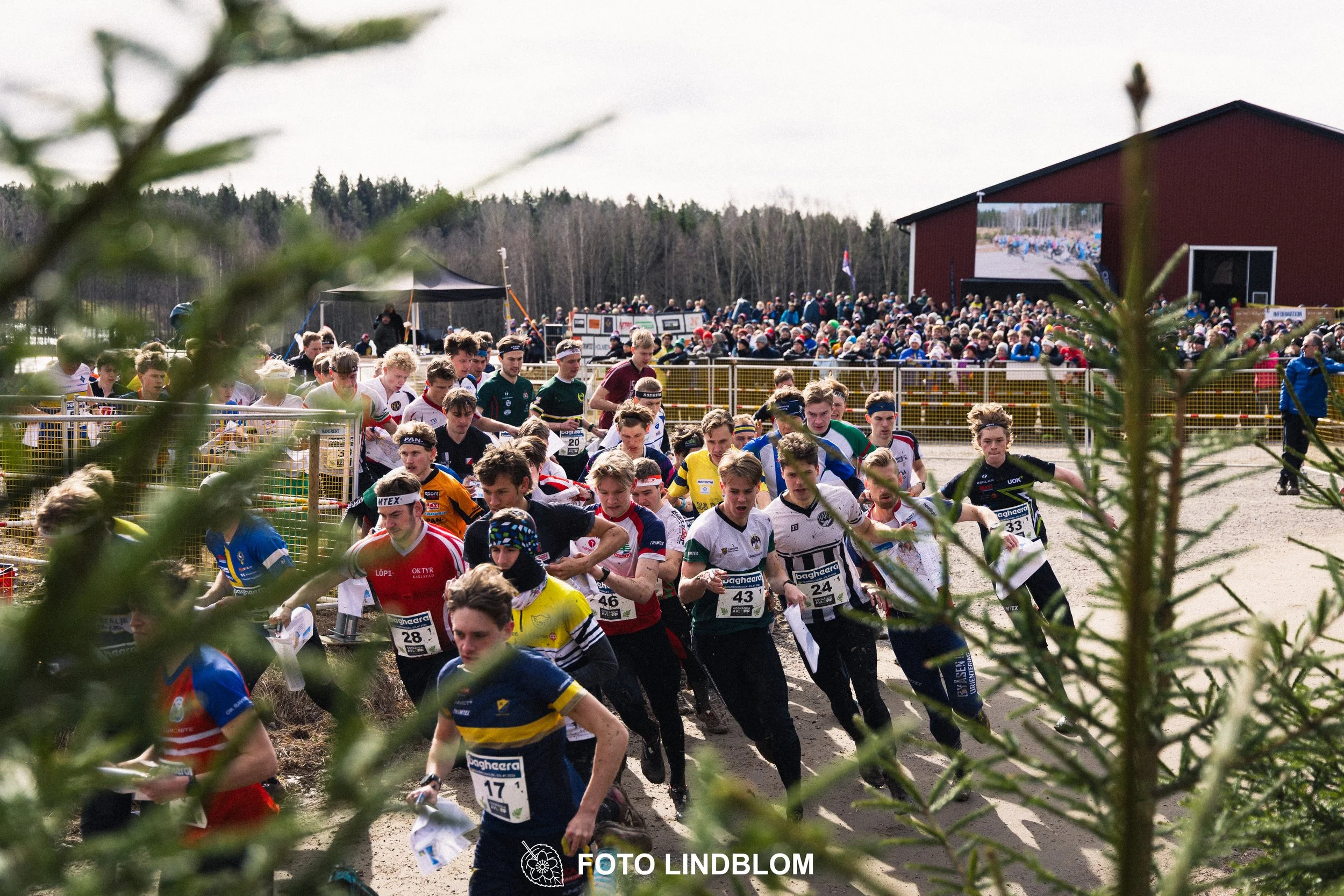 A scene from Kolmårdskavlen, the opening stage of the Swedish relay league 2026, captured by Foto Lindblom.