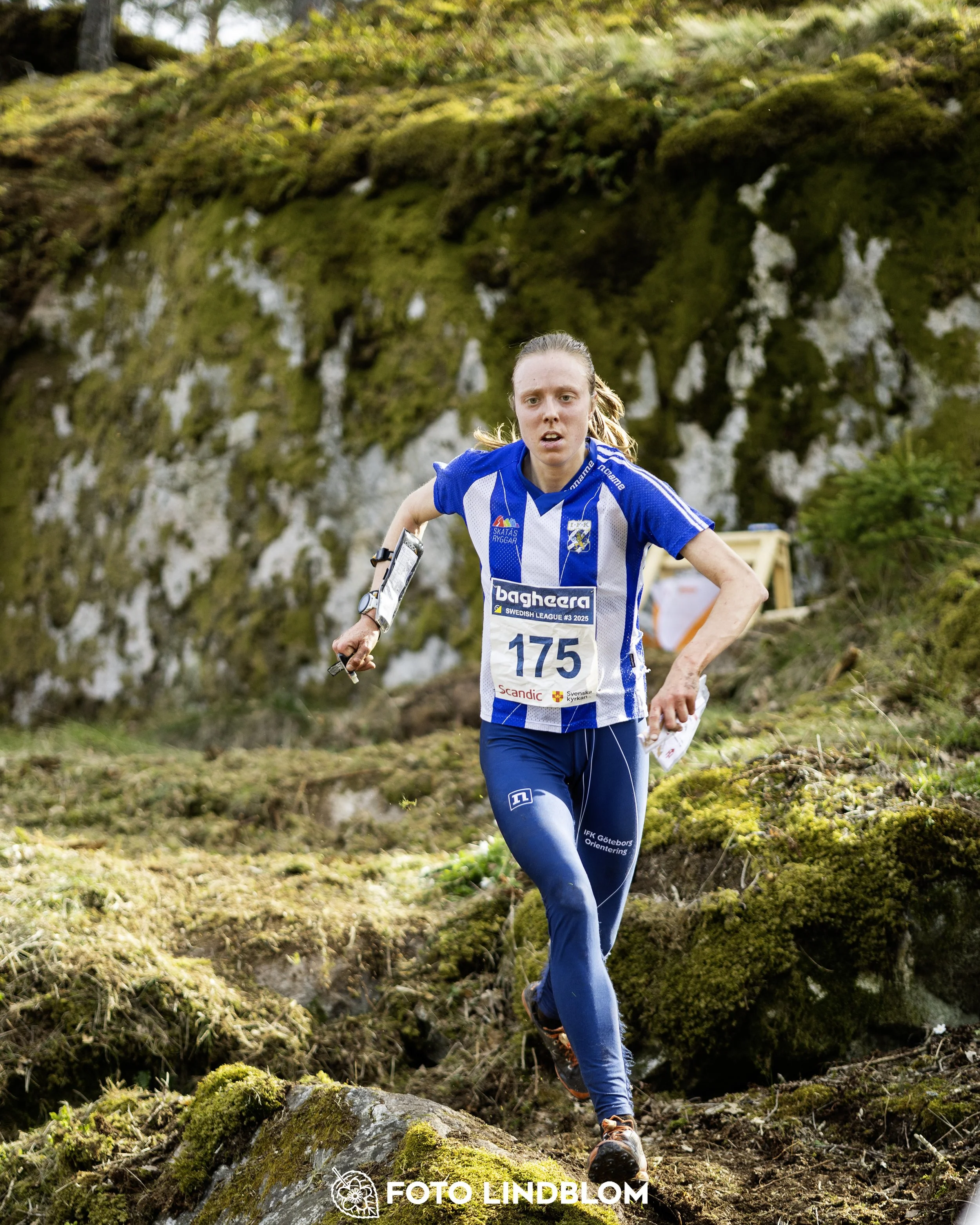 A picture from the third stage of the Swedish League orienteering competition