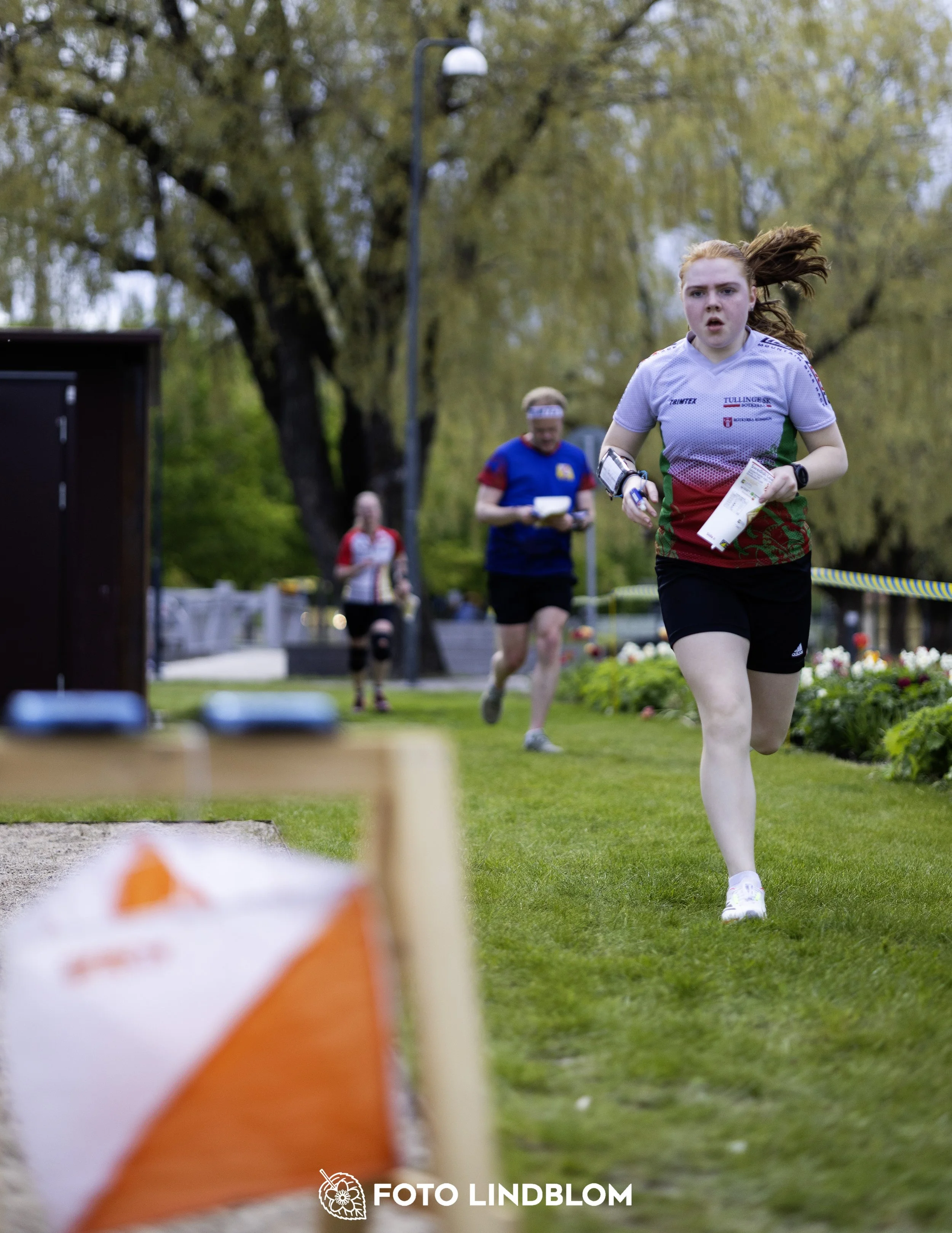 A picture from the fifth stage of the Swedish League orienteering competition