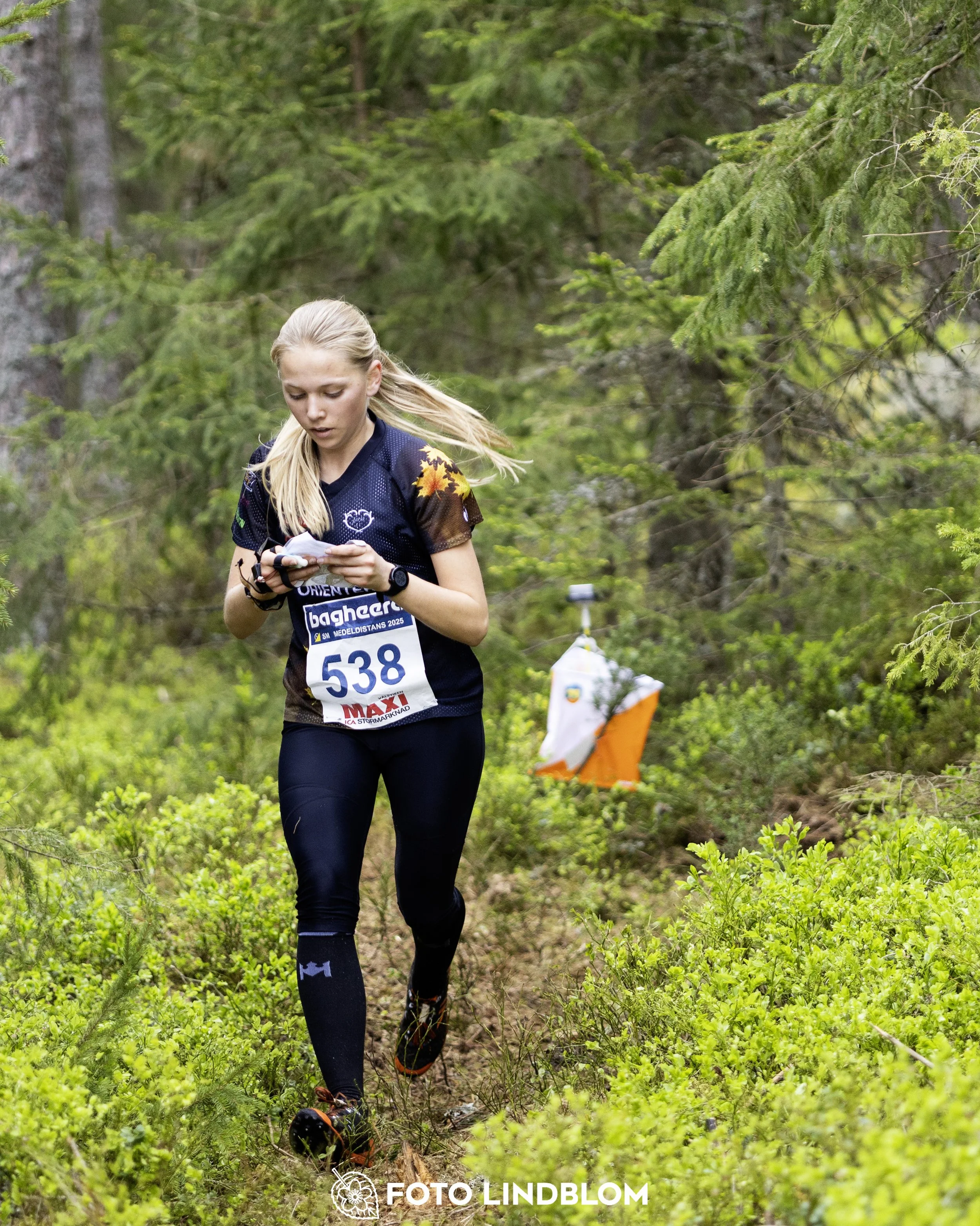 A picture from the Swedish national championship in middle distance orienteering and Swedish league race