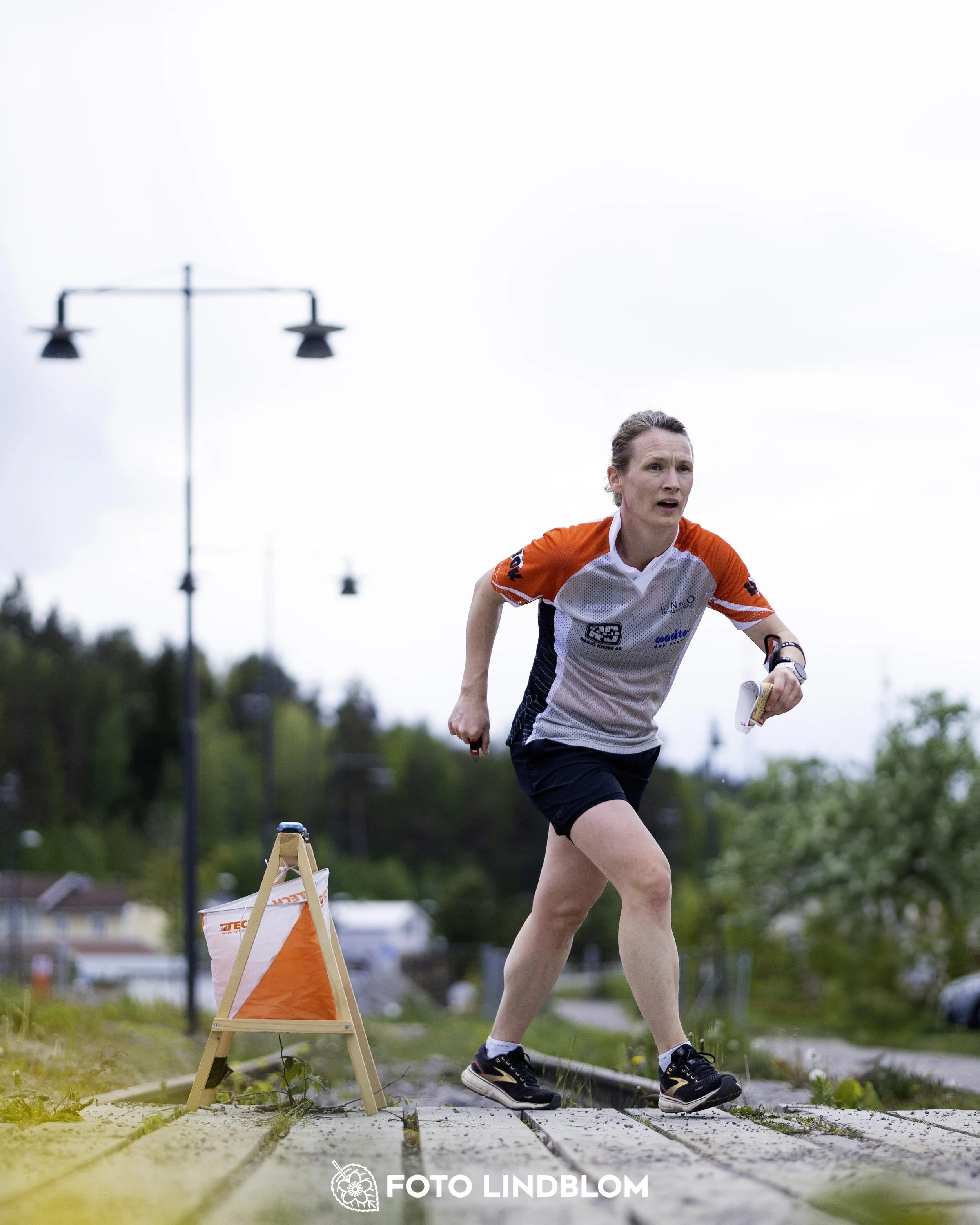 A picture from the fifth stage of the Swedish League orienteering competition