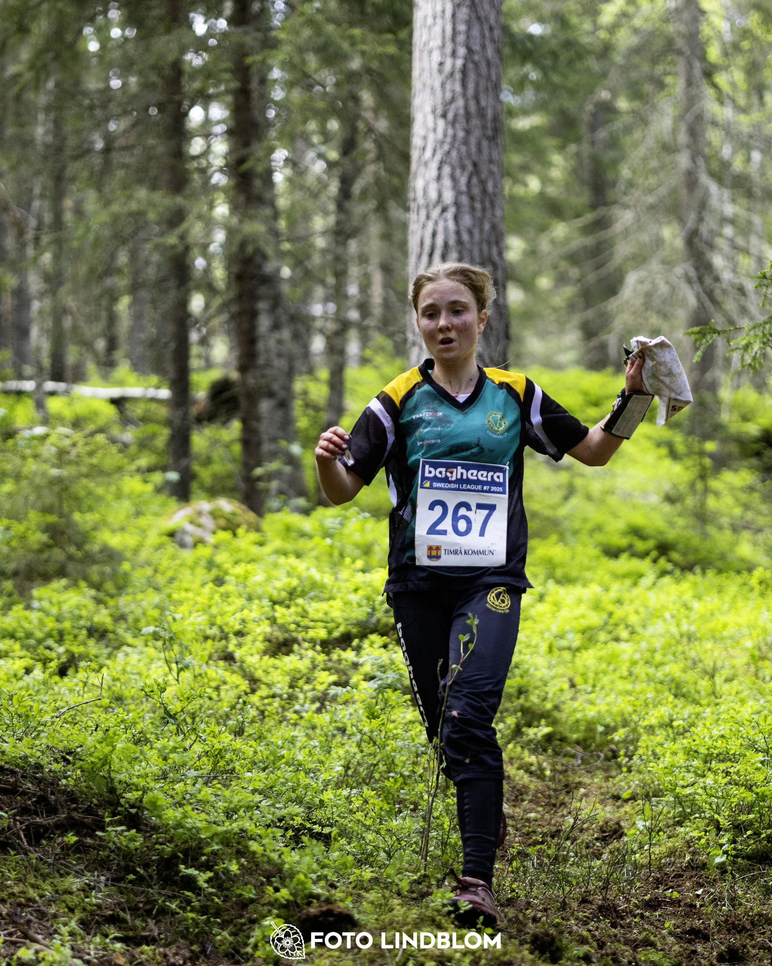 A picture from the seventh stage of the Swedish League orienteering competition