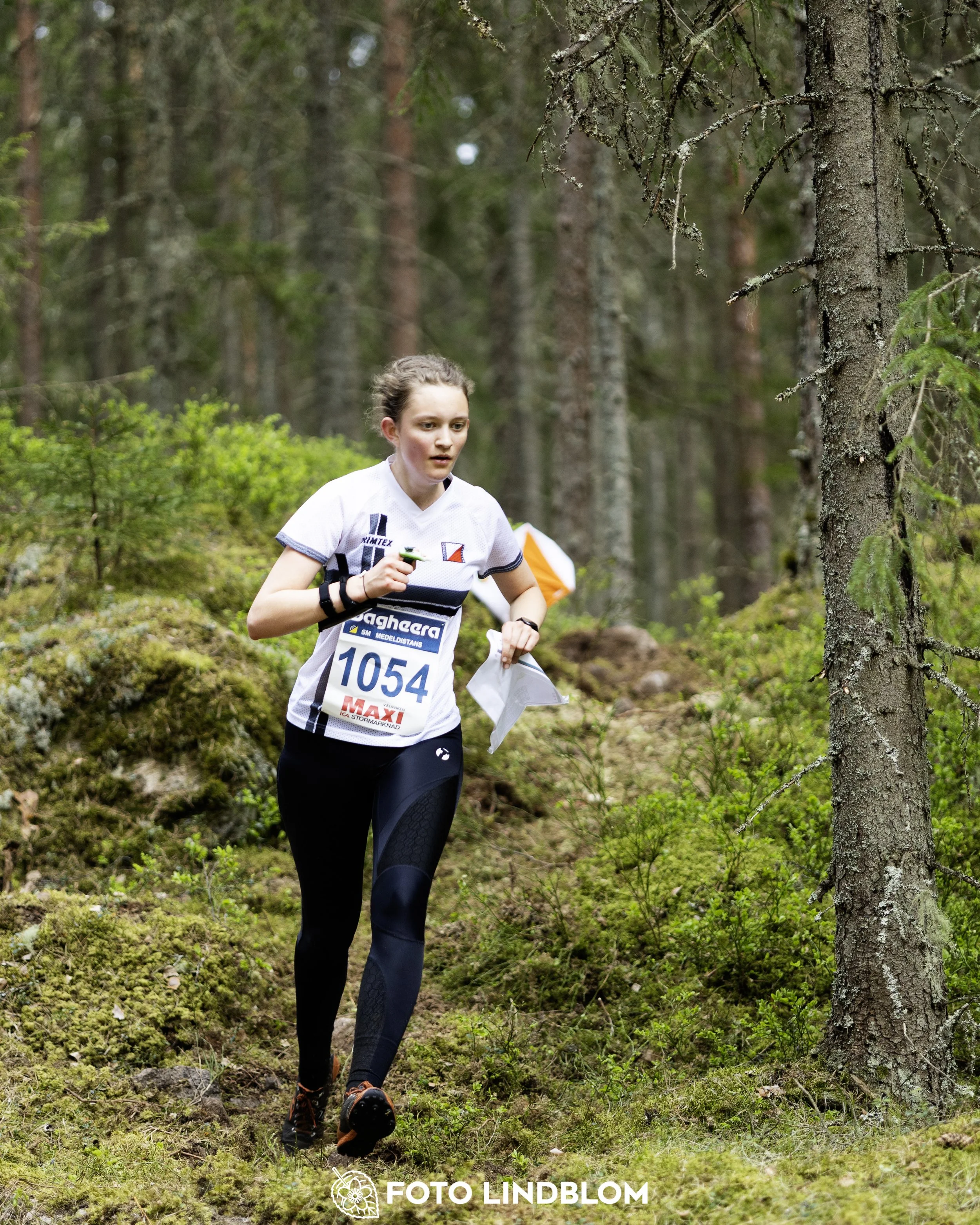 A picture from the Swedish national championship in middle distance orienteering and Swedish league race