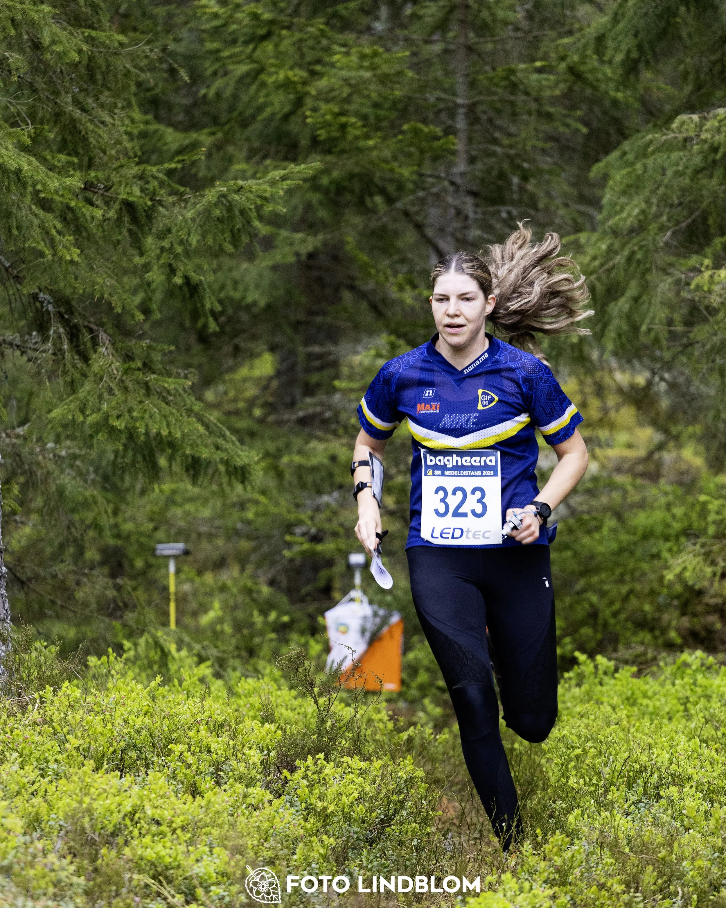 A picture from the Swedish national championship in middle distance orienteering and Swedish league race