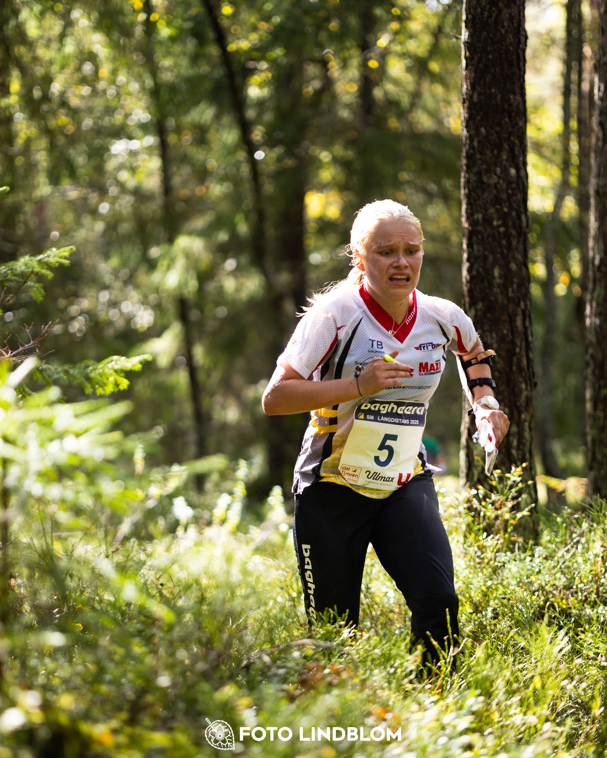 A picture from the Swedish national championship in long distance orienteering and Swedish league race taken by Foto Lindblom