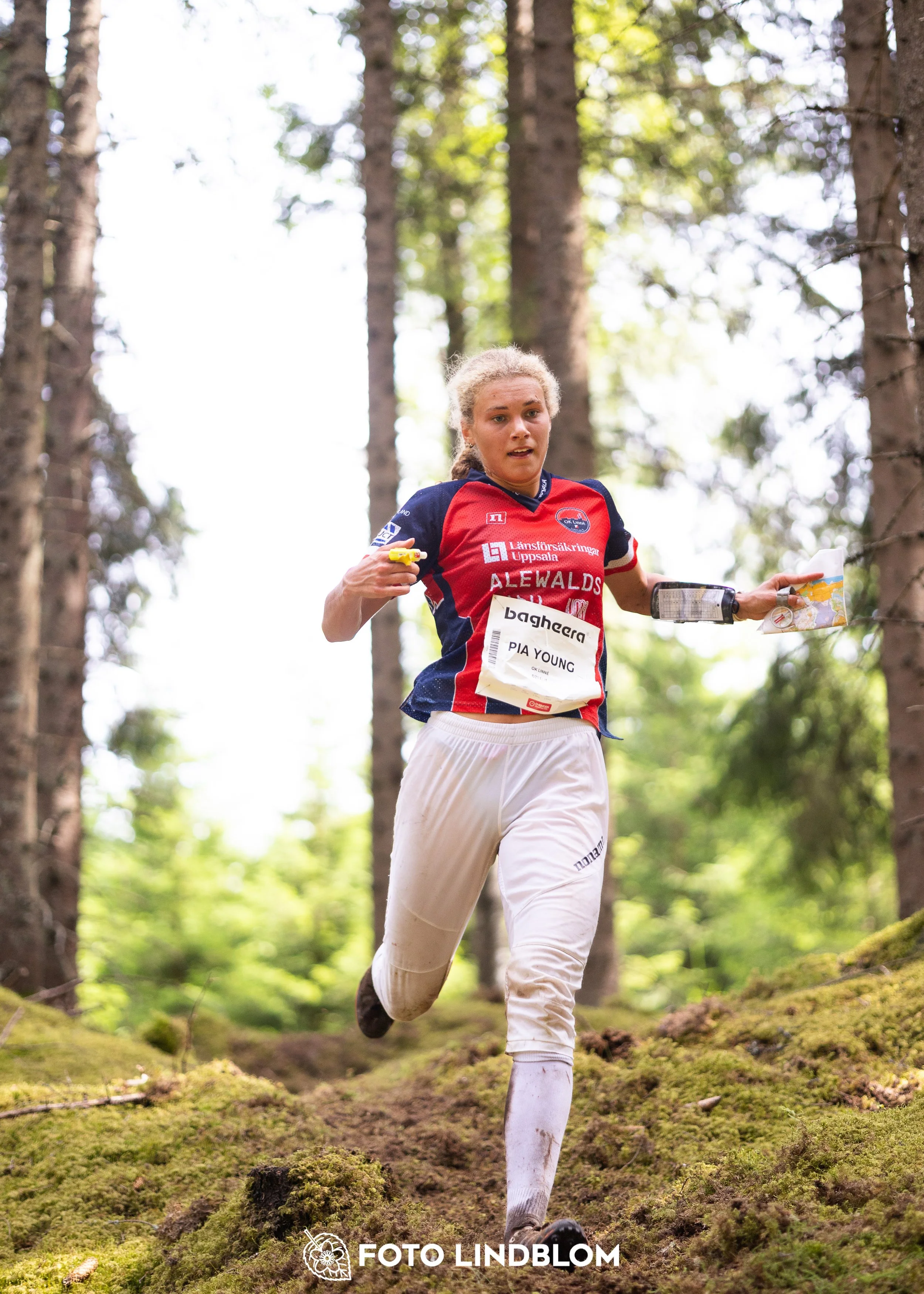 A picture from the first stage of Oringen 2025