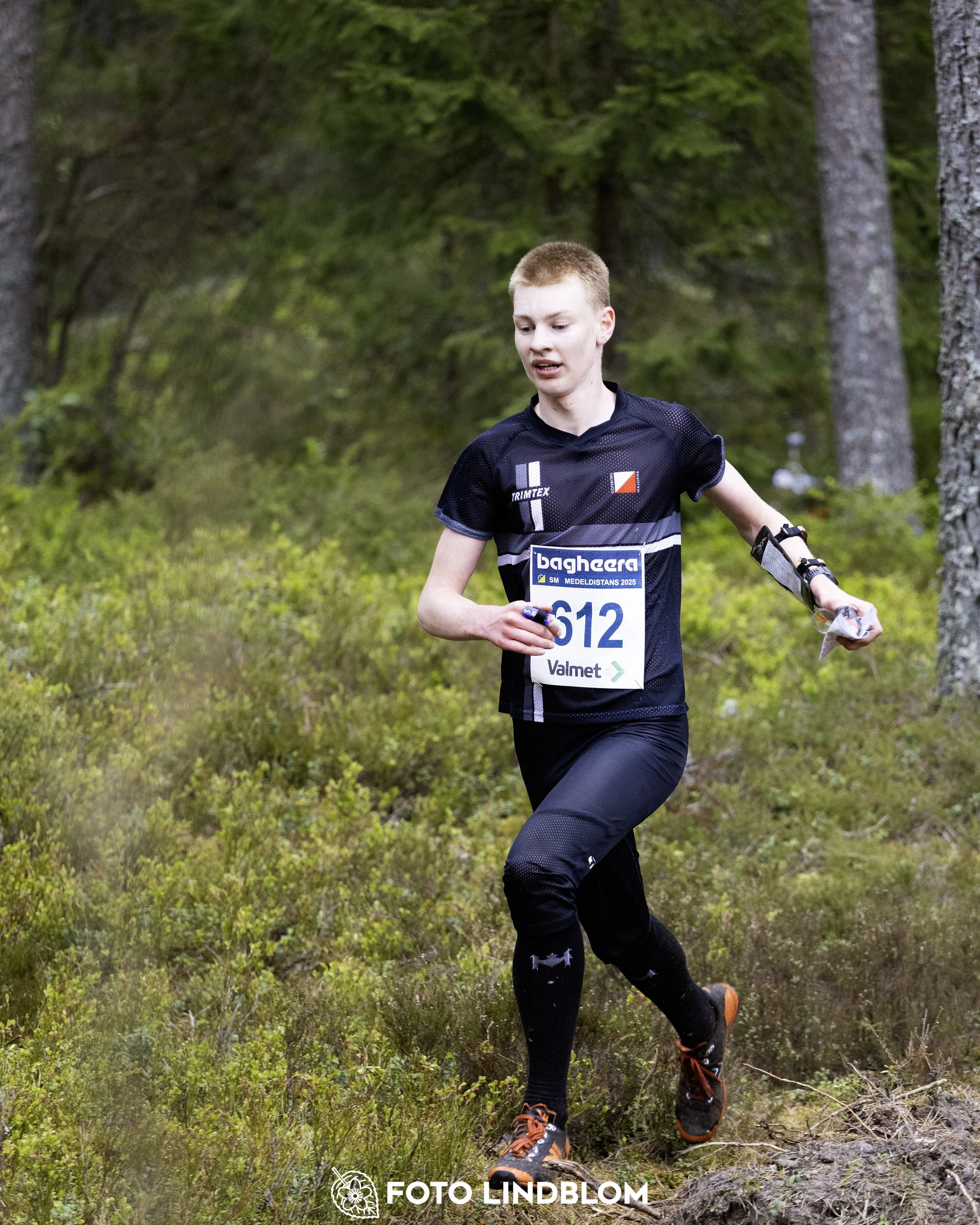 A picture from the Swedish national championship in middle distance orienteering and Swedish league race