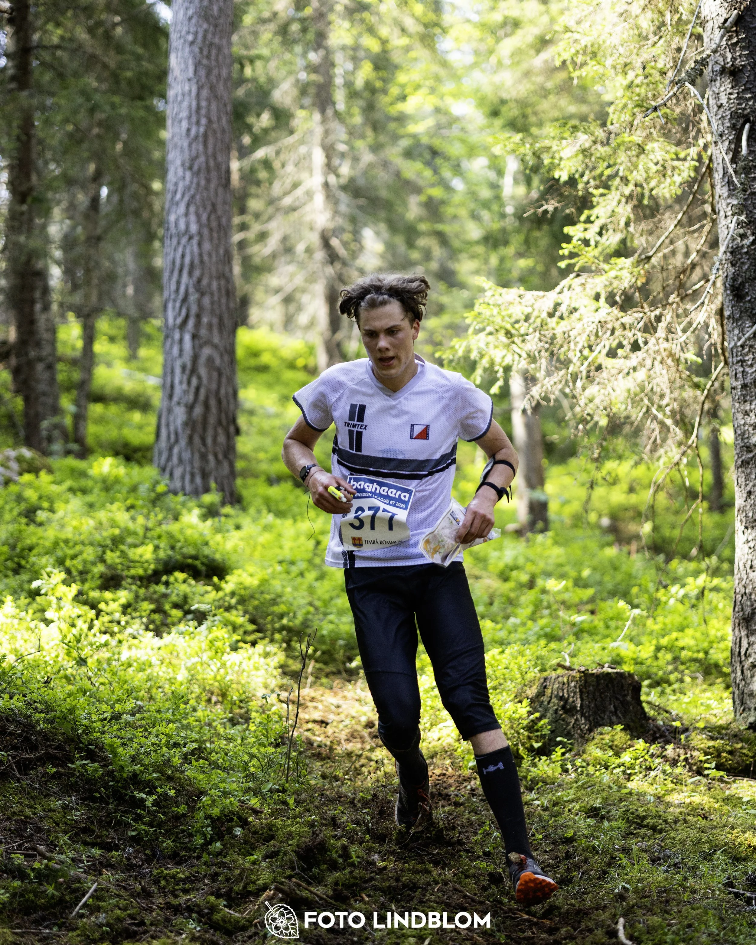 A picture from the seventh stage of the Swedish League orienteering competition