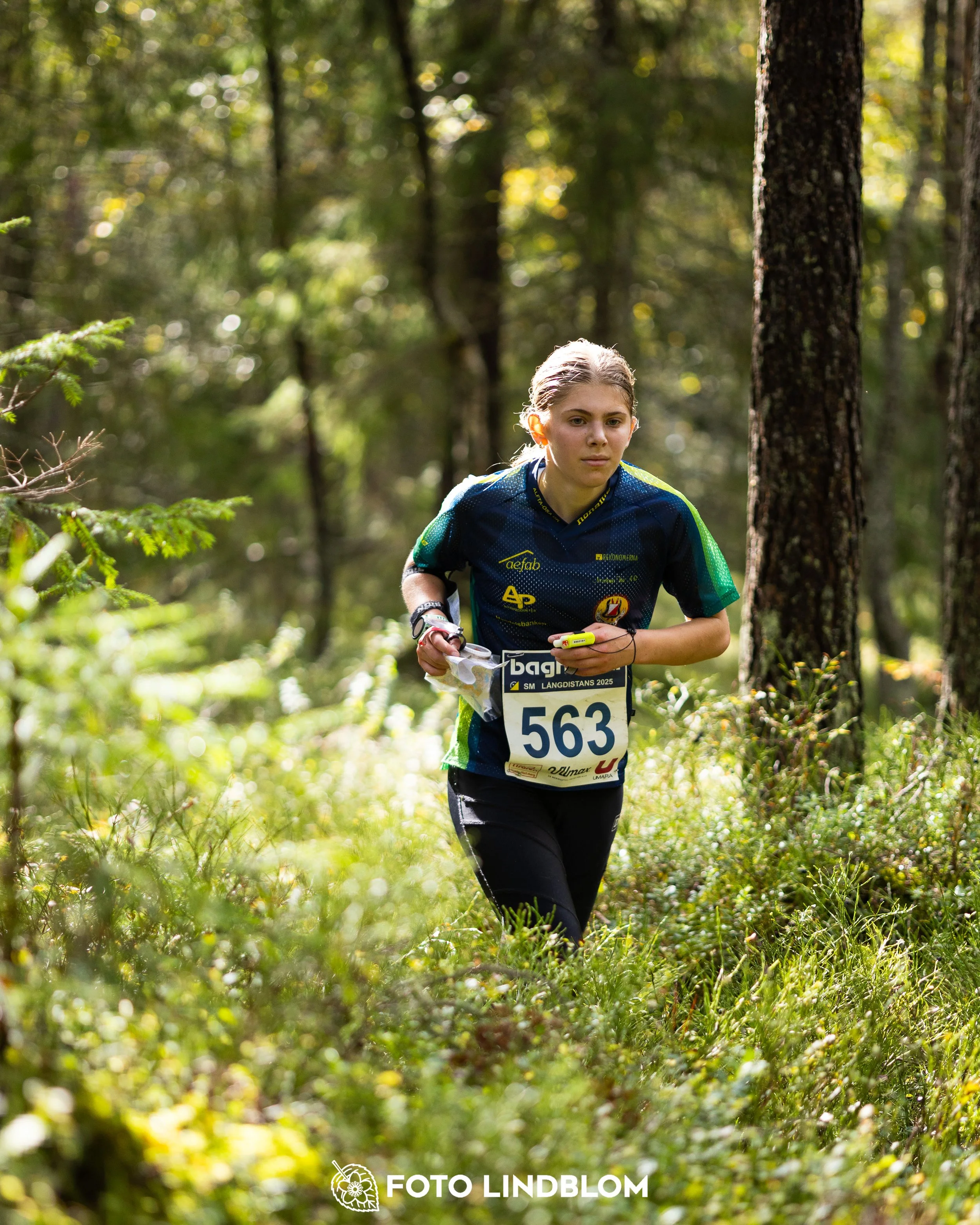 A picture from the Swedish national championship in long distance orienteering and Swedish league race taken by Foto Lindblom