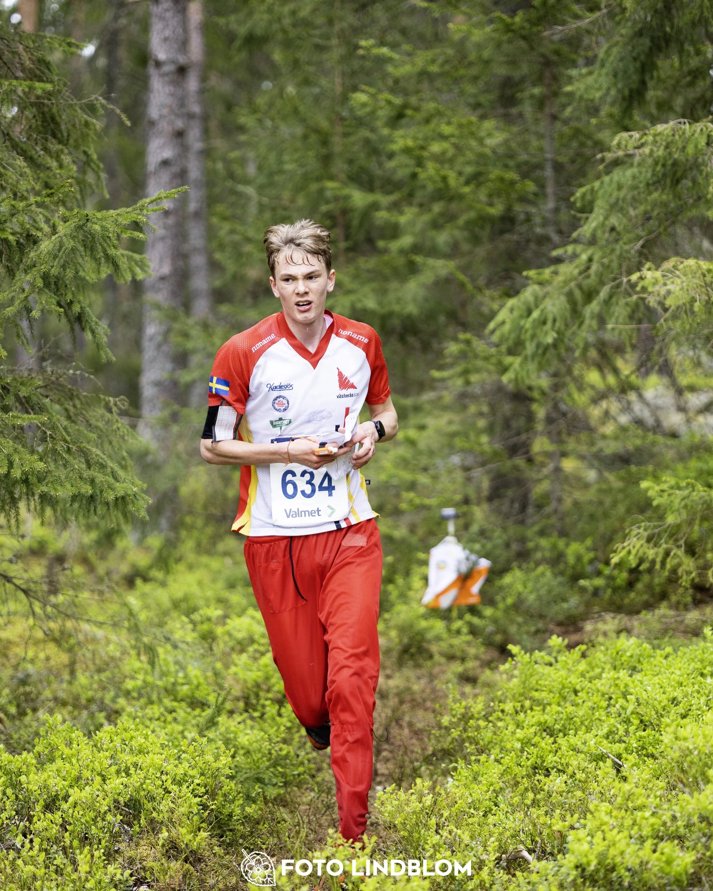 A picture from the Swedish national championship in middle distance orienteering and Swedish league race