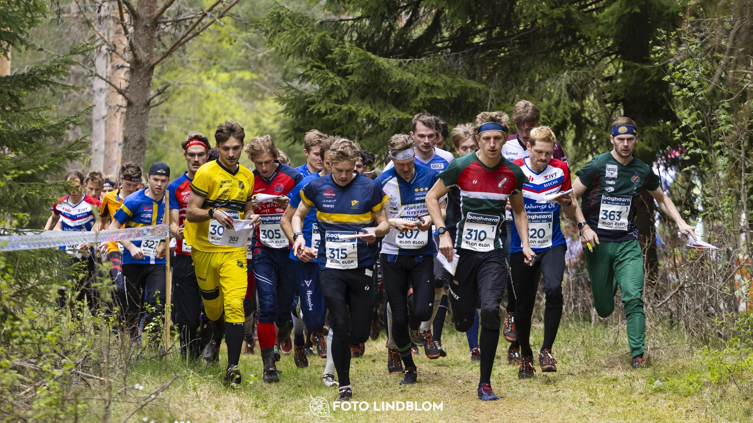 A picture from the Swedish national championship in relay orienteering