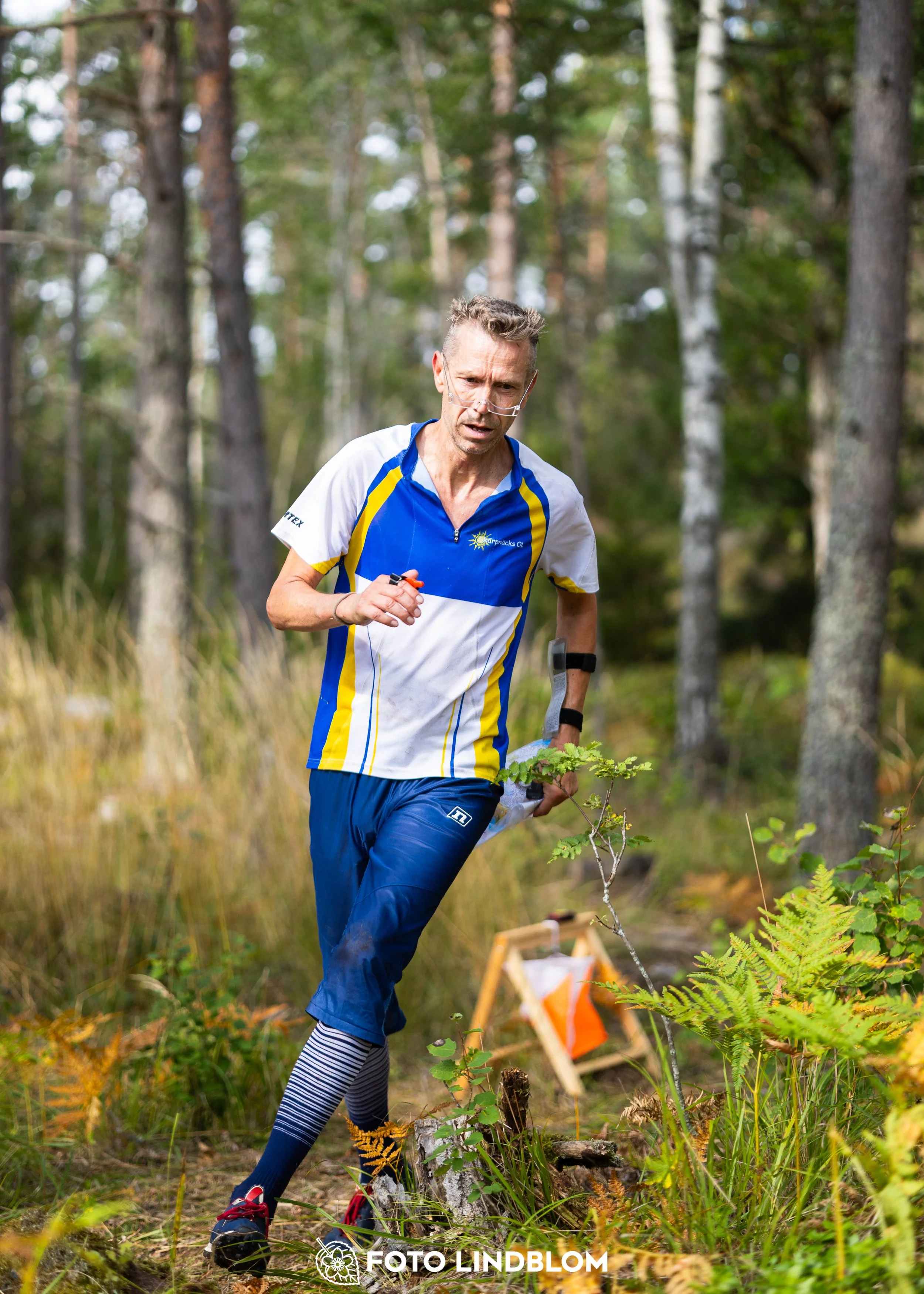 A picture from the Stockholm district championship in middle distance orienteering taken by Foto Lindblom