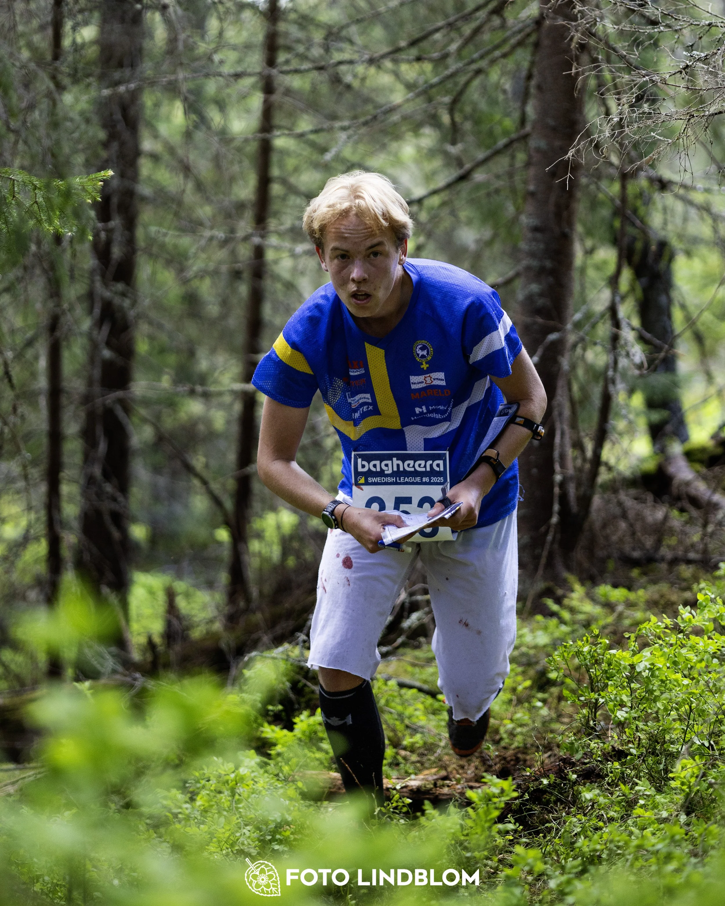 A picture from the sixth stage of the Swedish League orienteering competition