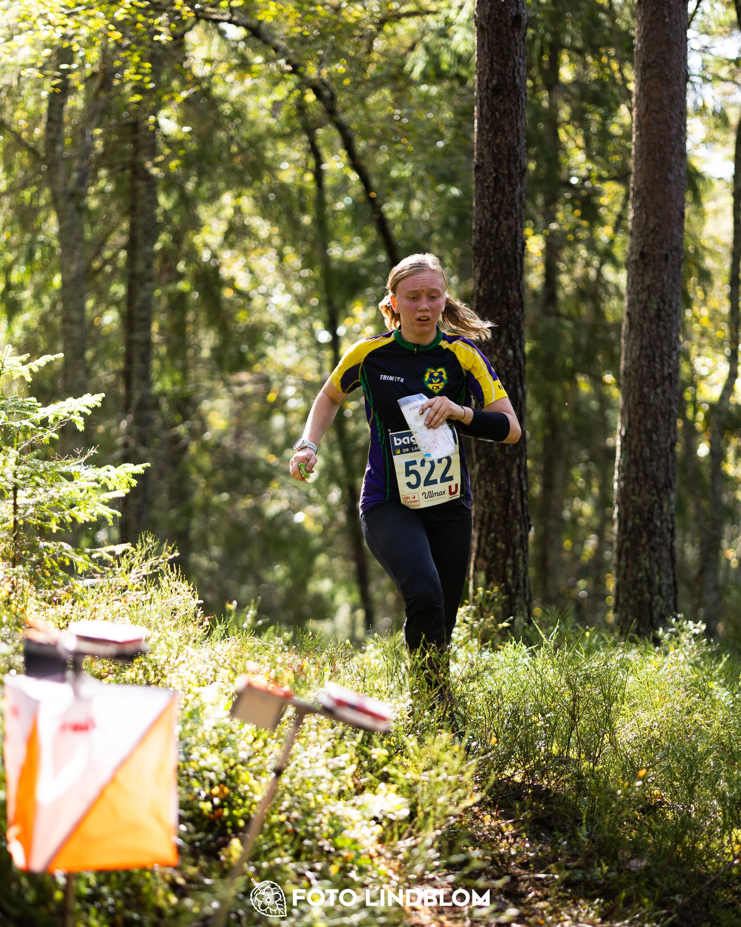 A picture from the Swedish national championship in long distance orienteering and Swedish league race taken by Foto Lindblom