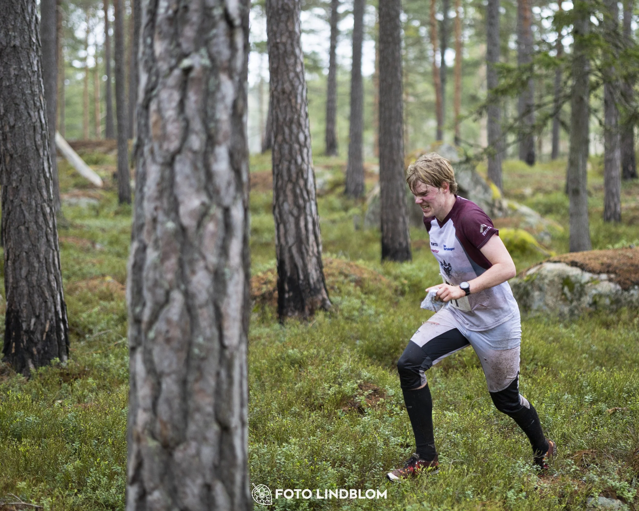 A picture from the orienteering competition "Prästtomtadubbeln"