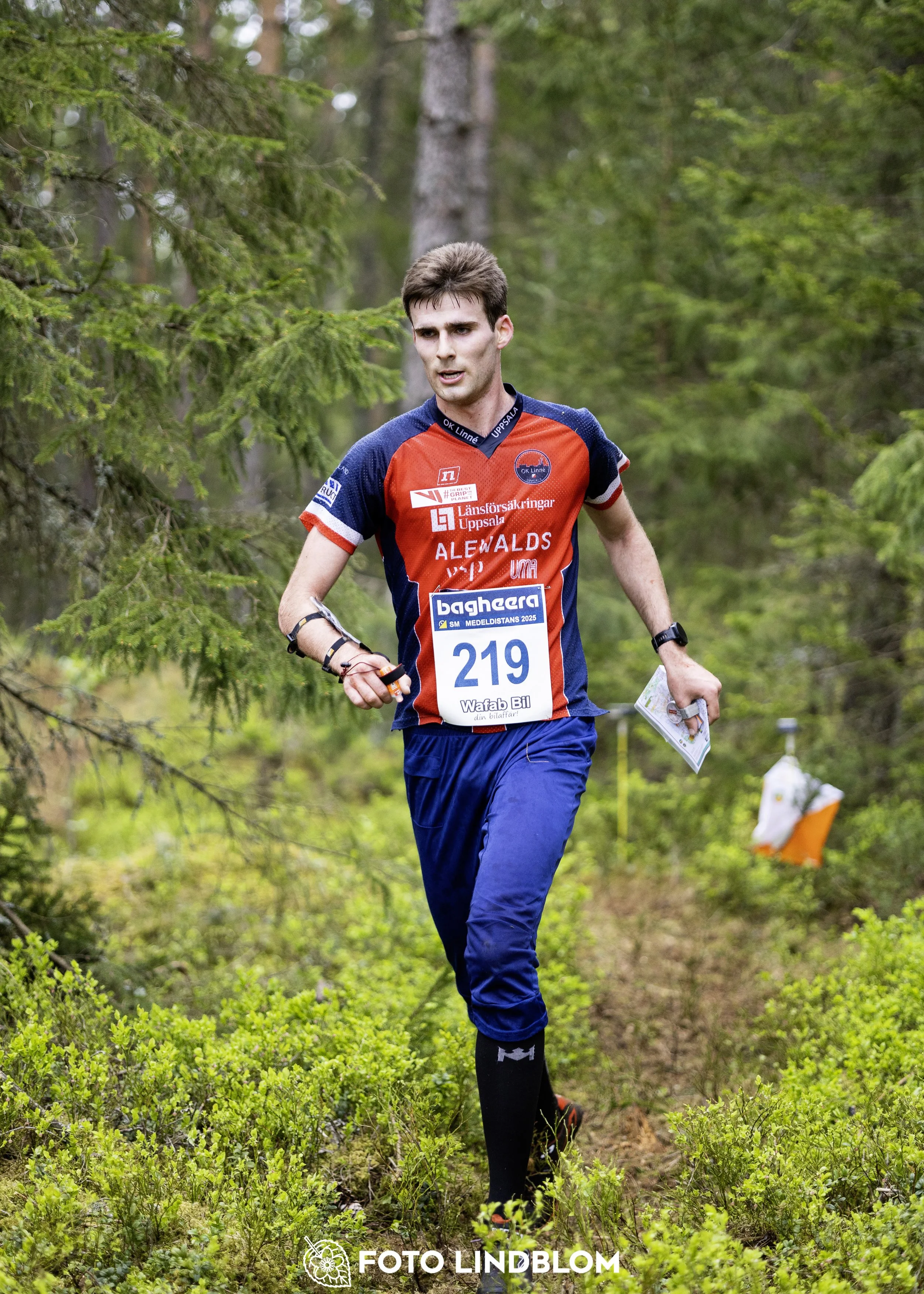 A picture from the Swedish national championship in middle distance orienteering and Swedish league race