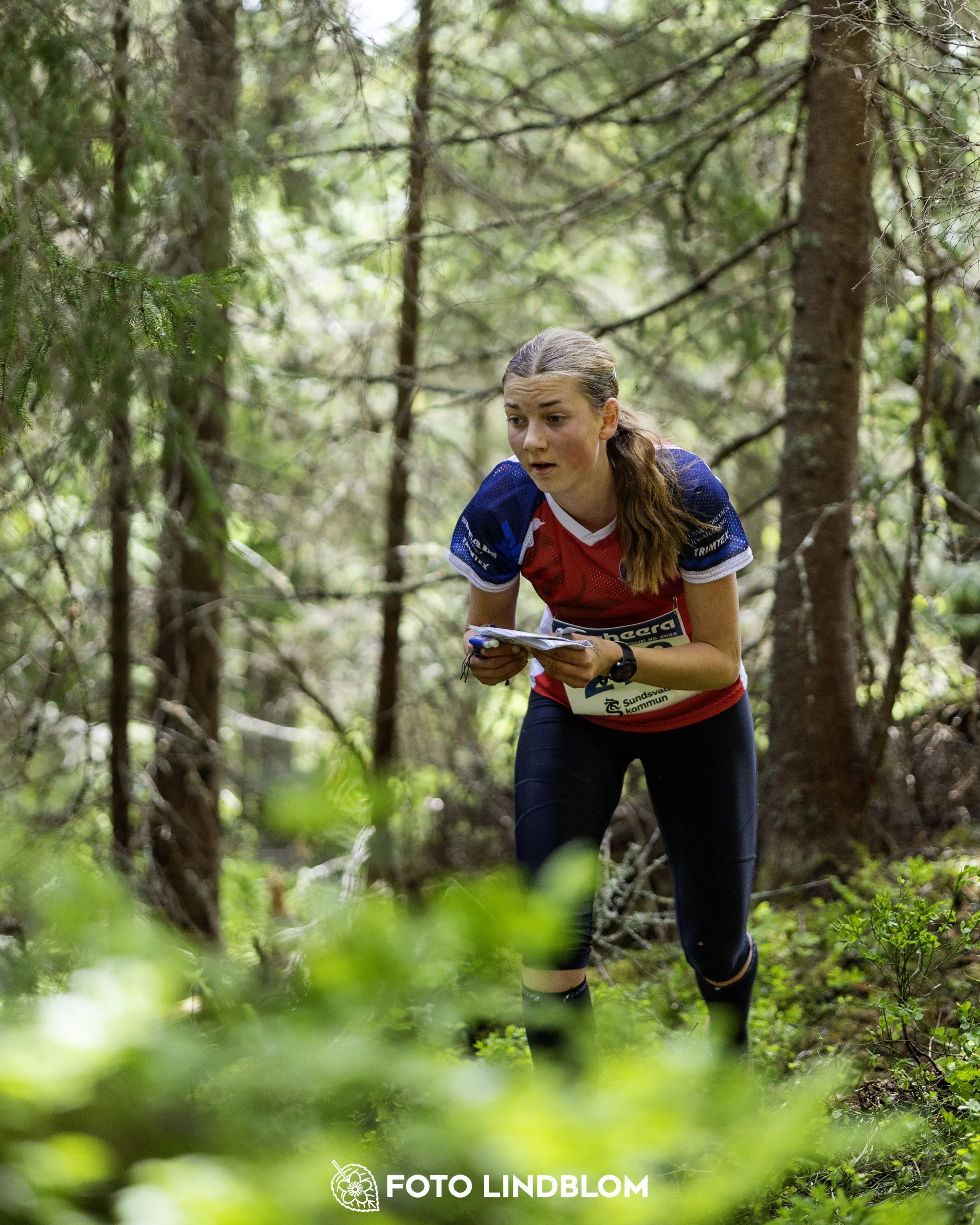 A picture from the seventh stage of the Swedish League orienteering competition