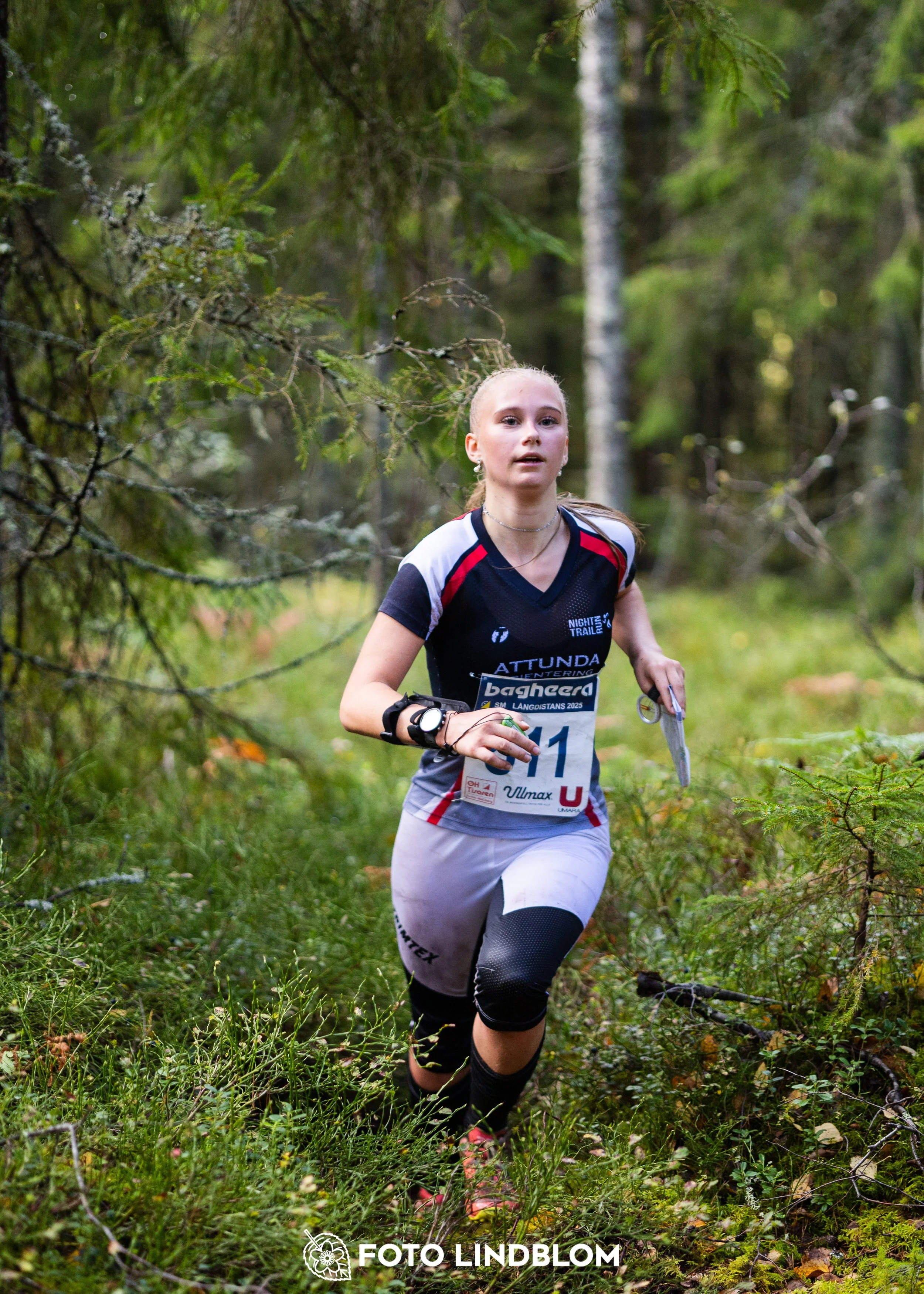 A picture from the Swedish national championship in long distance orienteering and Swedish league race taken by Foto Lindblom