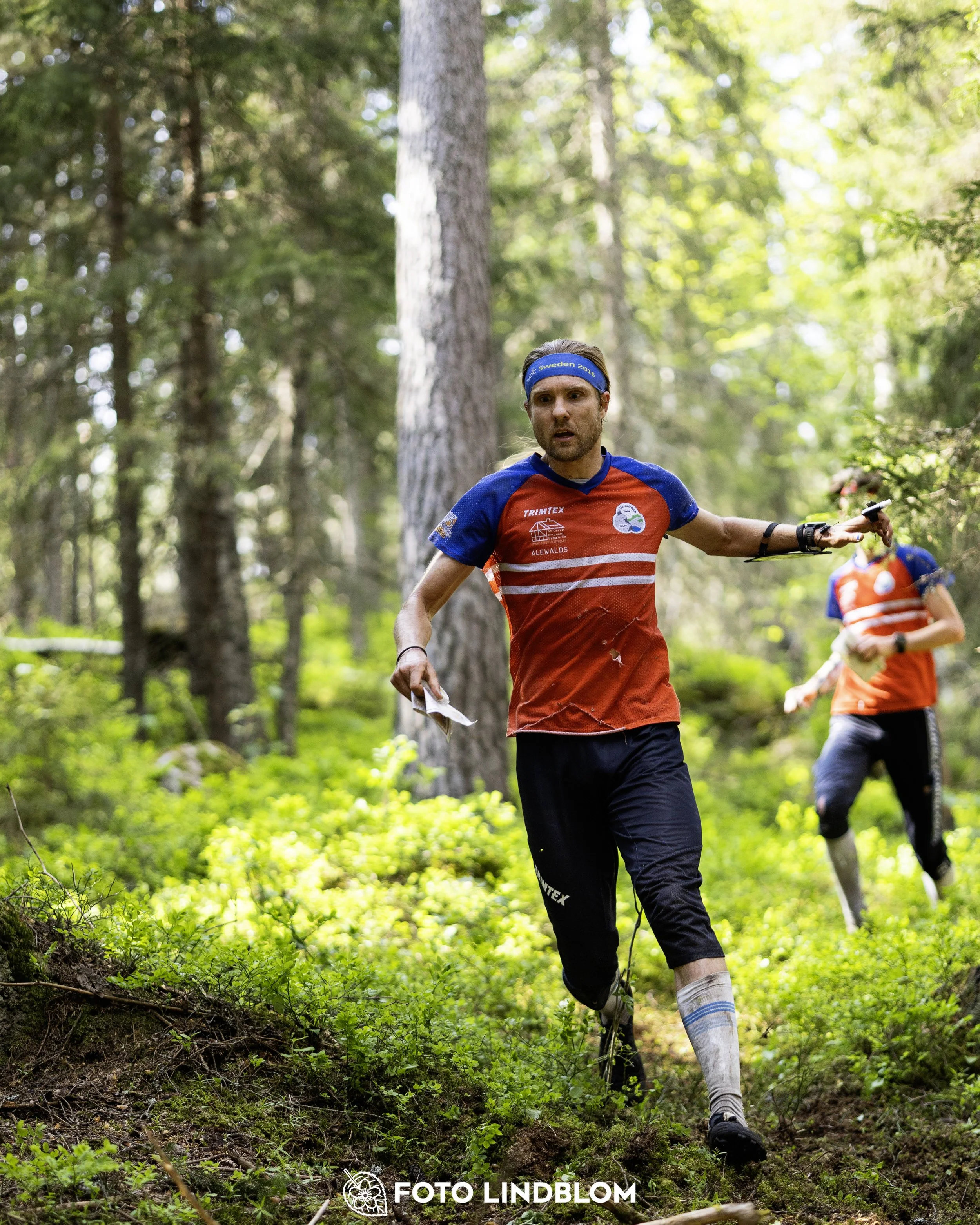A picture from the seventh stage of the Swedish League orienteering competition