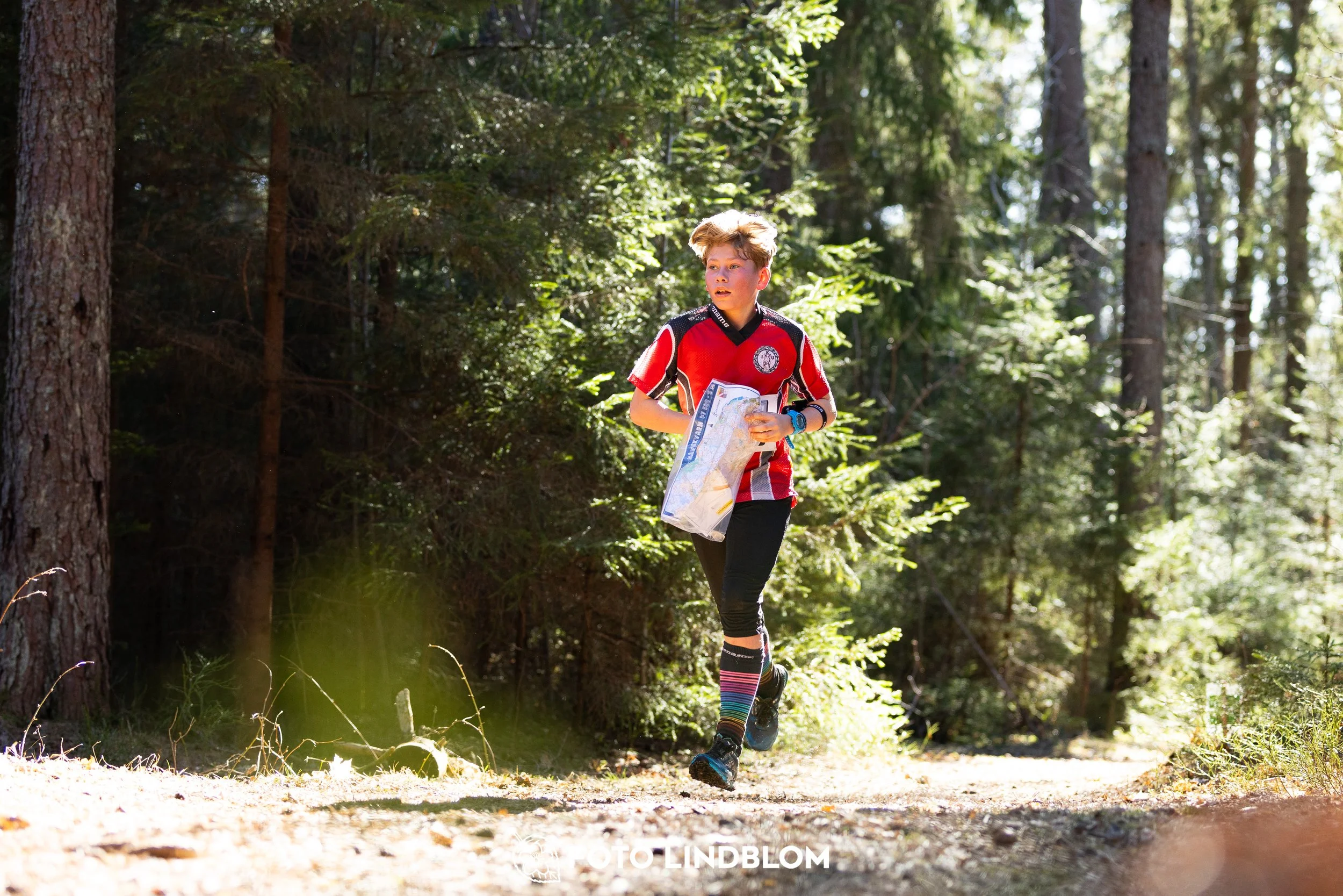 This picture shows competitors during Nyköpingsorienteringen 2026 navigating through forest terrain, photographed by Foto Lindblom.