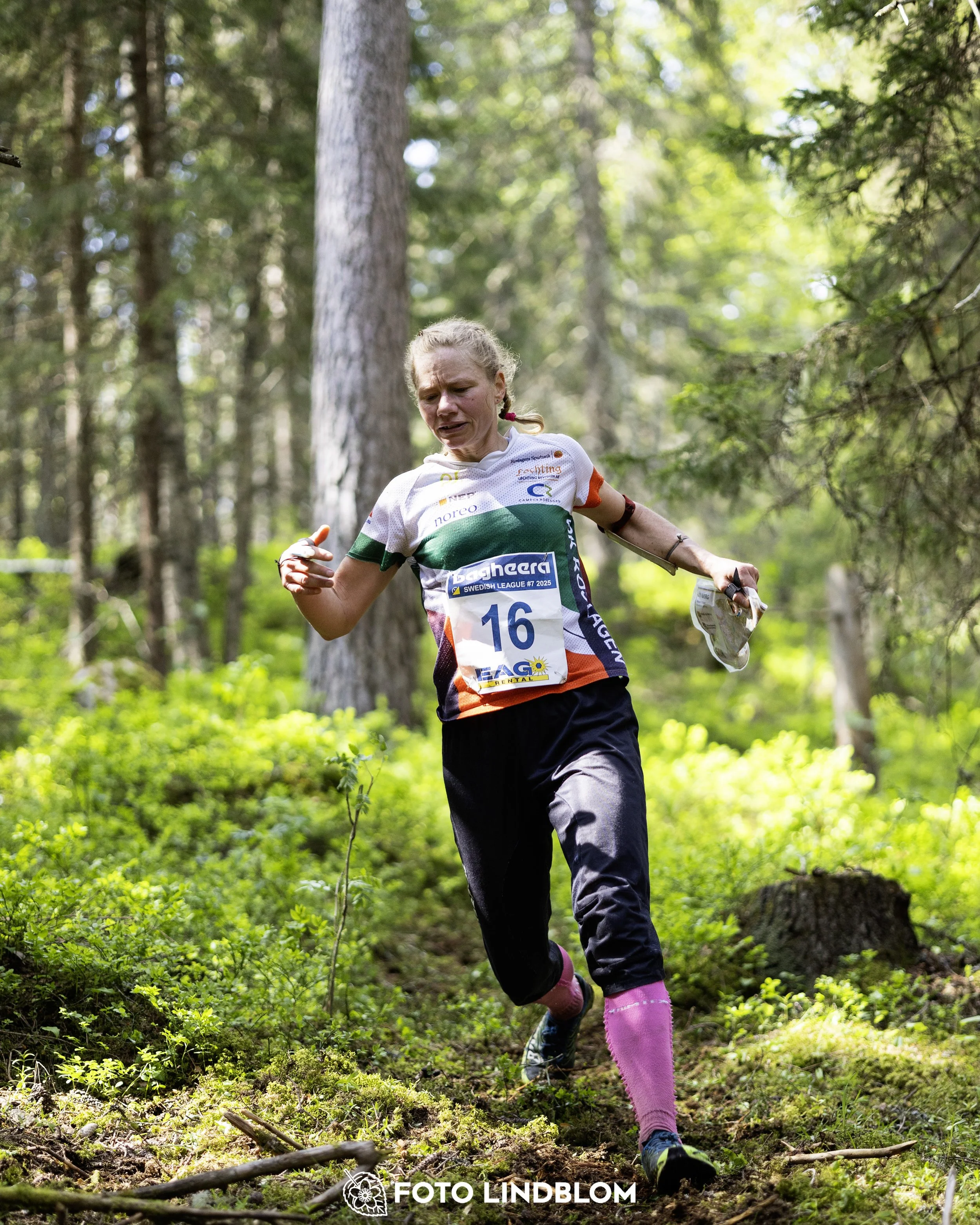 A picture from the seventh stage of the Swedish League orienteering competition