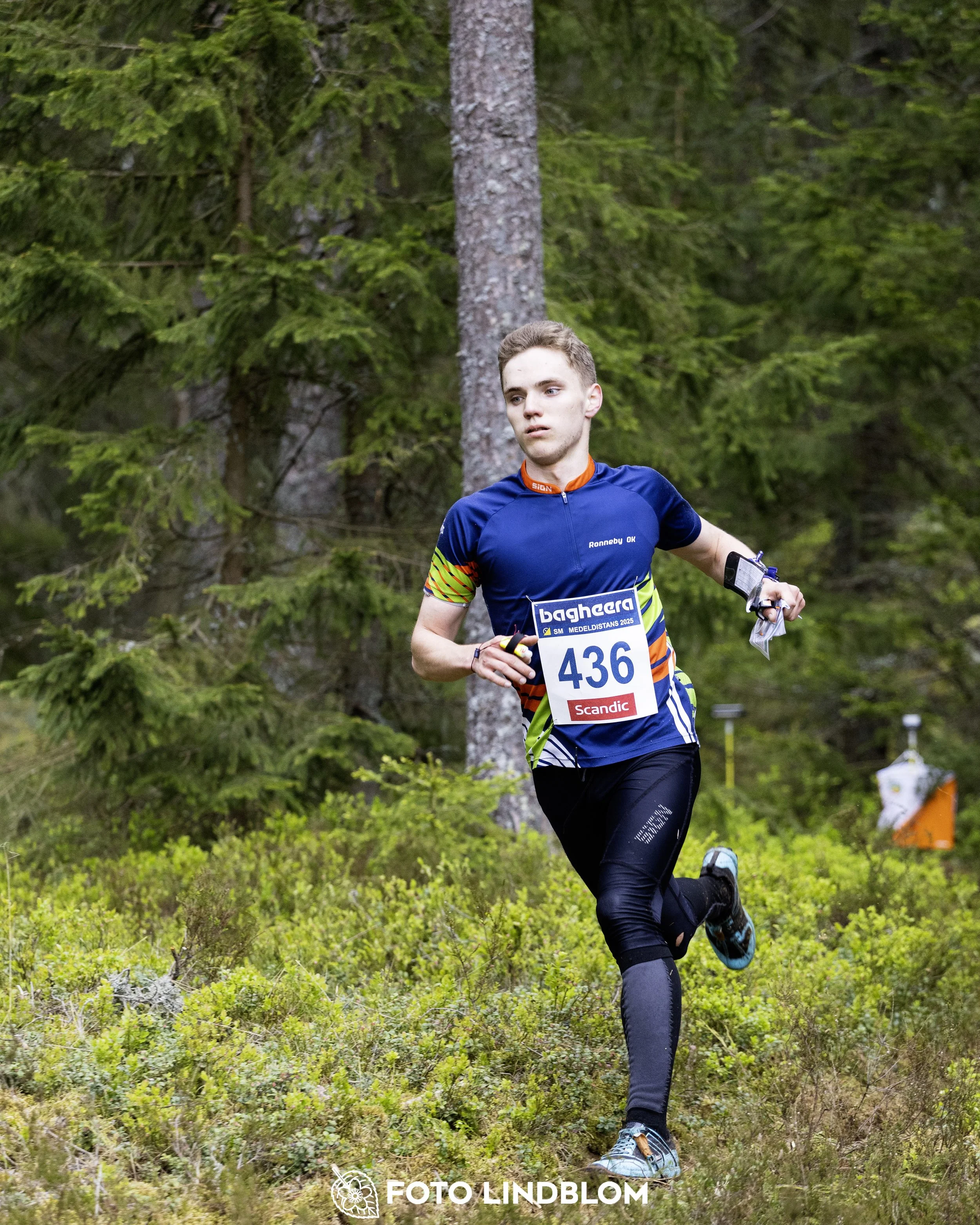 A picture from the Swedish national championship in middle distance orienteering and Swedish league race
