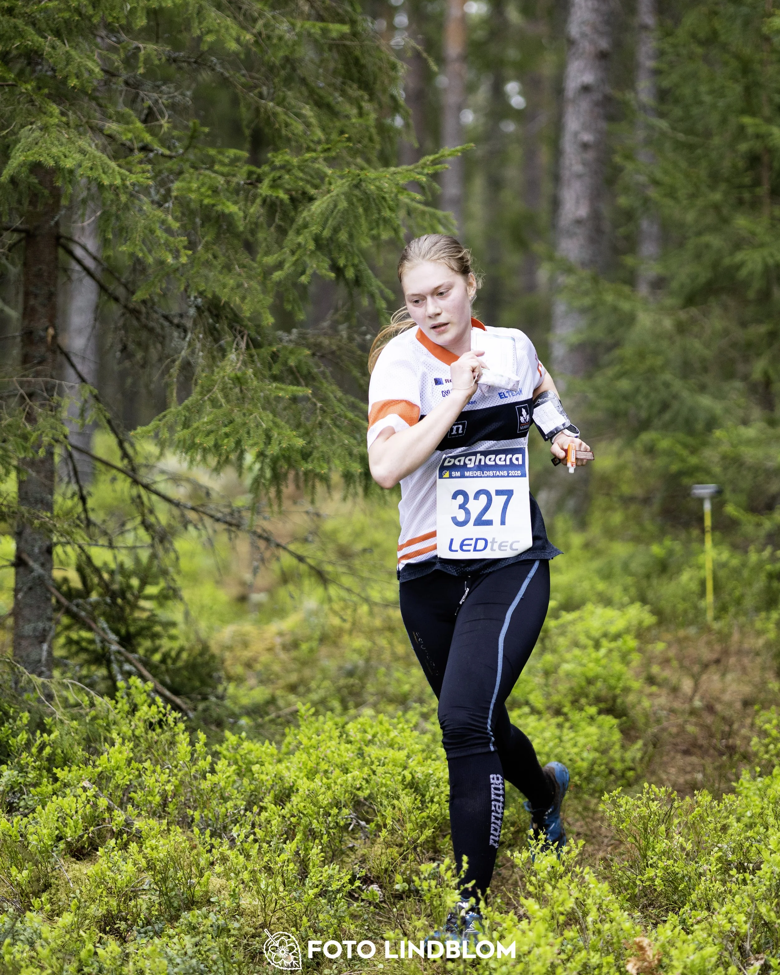 A picture from the Swedish national championship in middle distance orienteering and Swedish league race