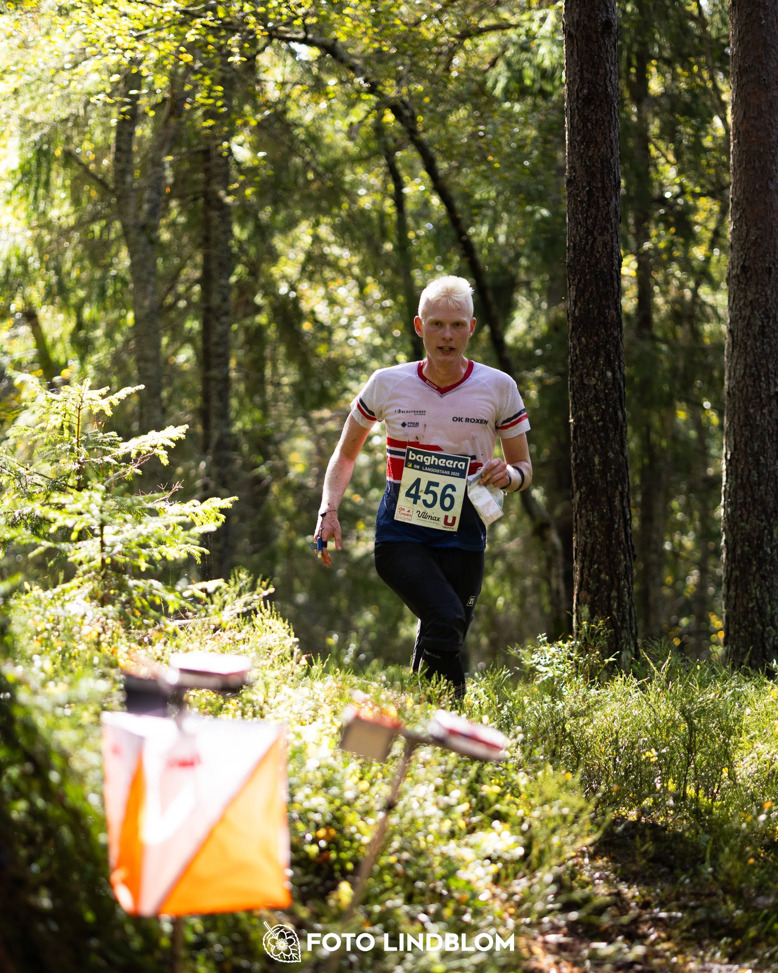 A picture from the Swedish national championship in long distance orienteering and Swedish league race taken by Foto Lindblom