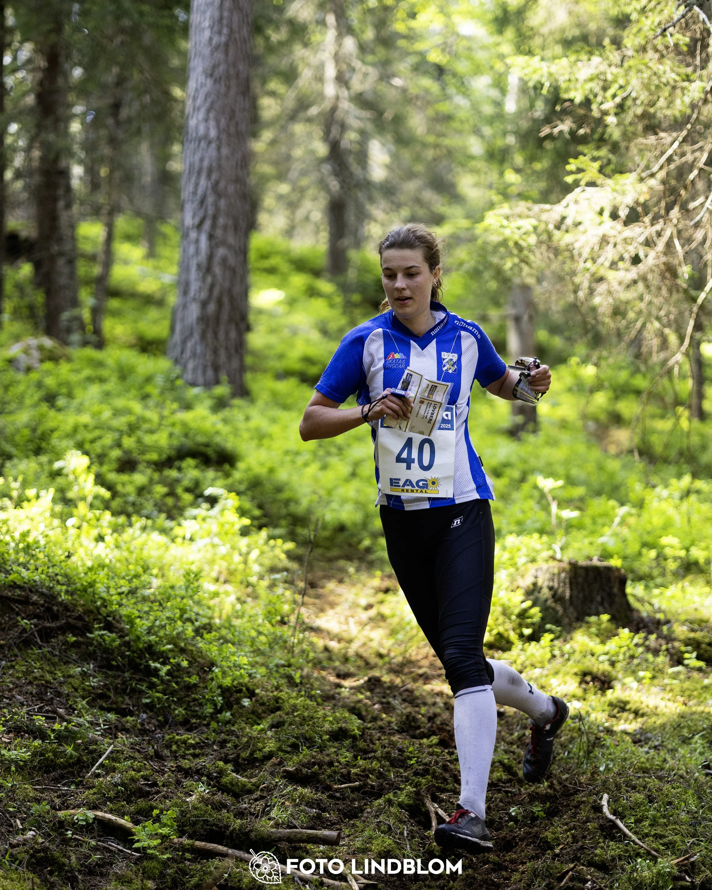 A picture from the seventh stage of the Swedish League orienteering competition
