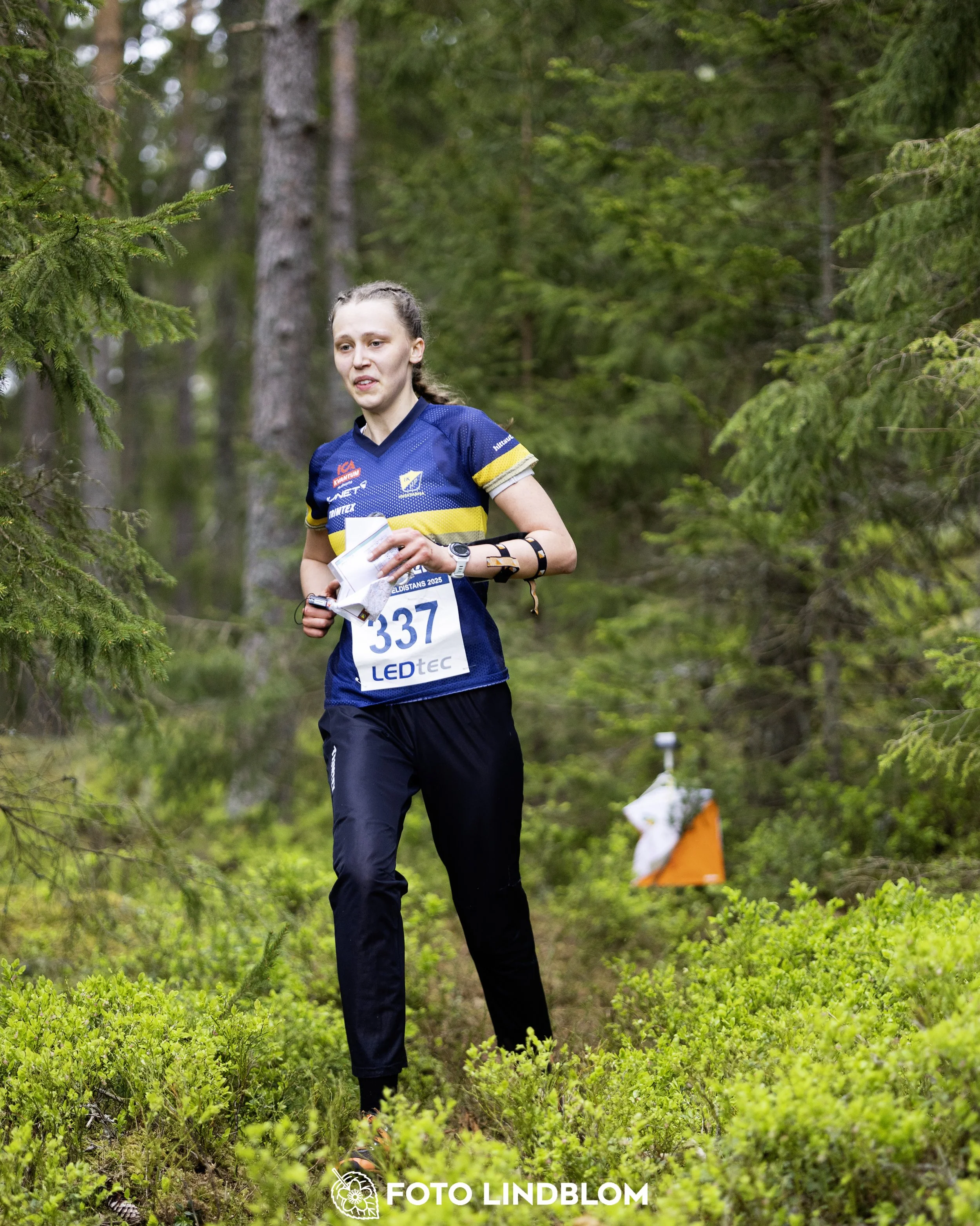A picture from the Swedish national championship in middle distance orienteering and Swedish league race