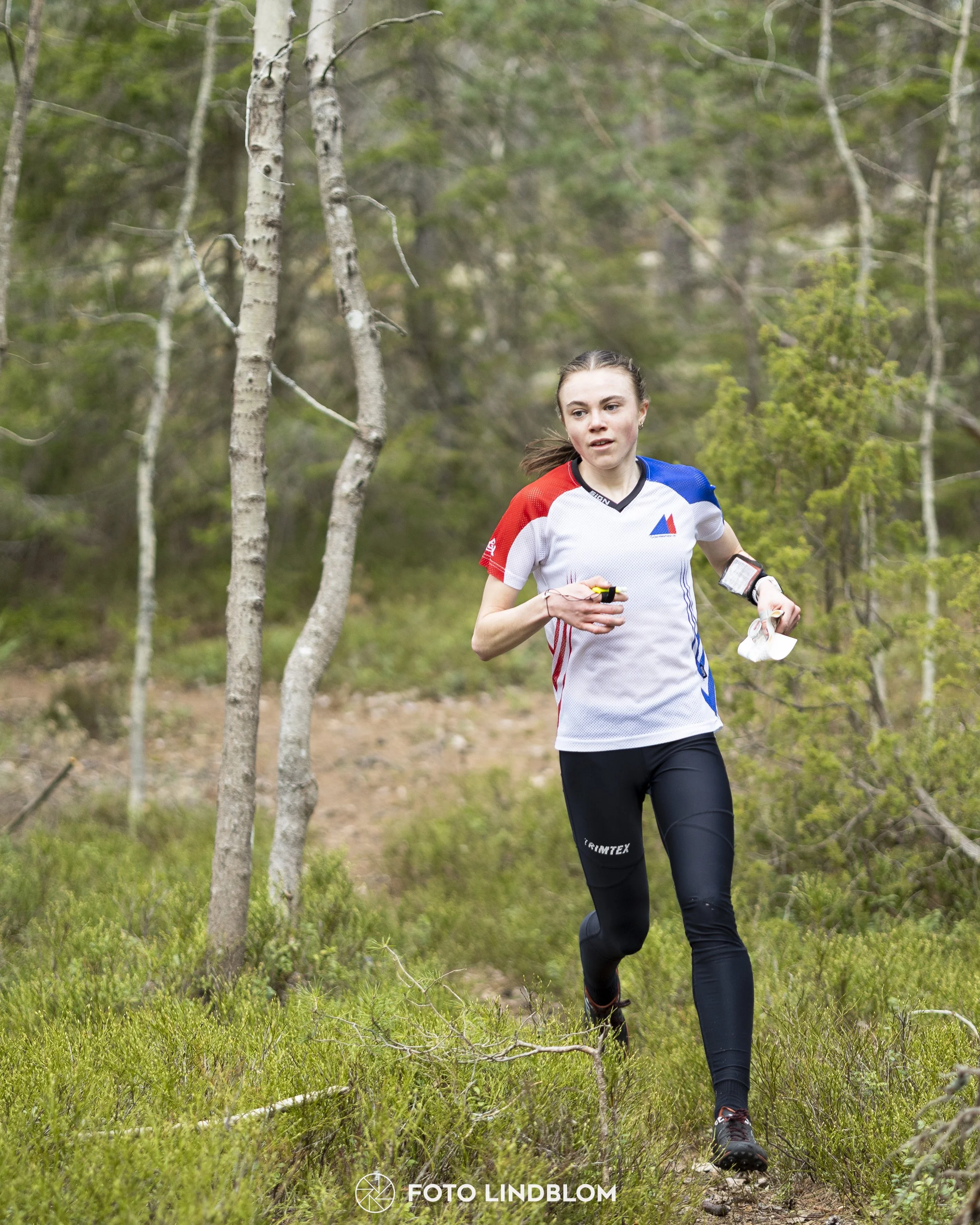 A picture from the orienteering competition "Orminge Medeln"