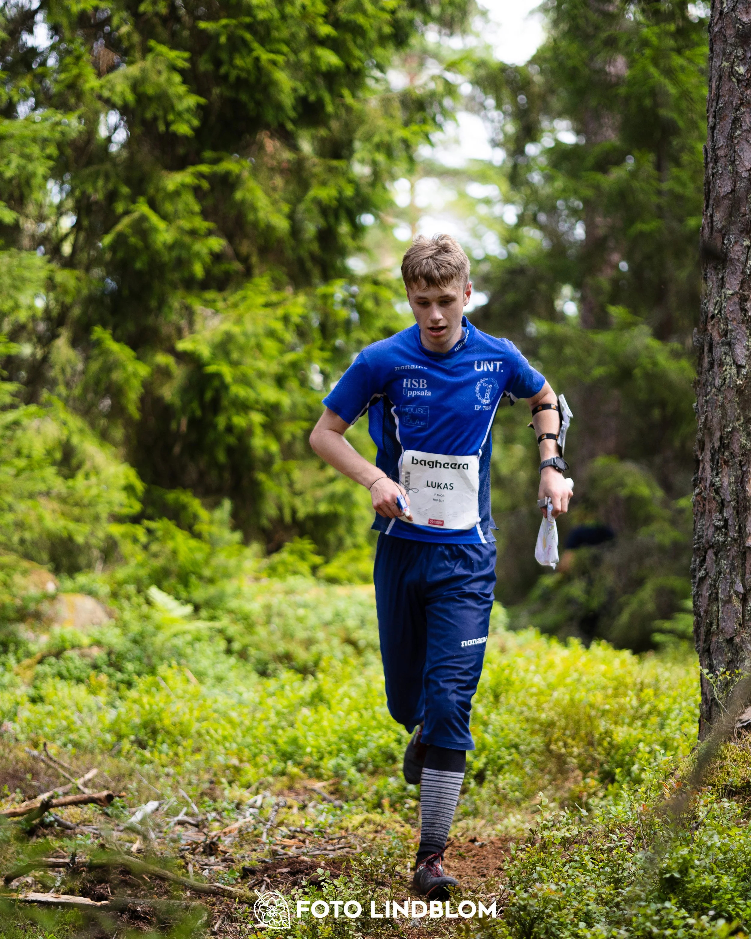 A picture from the second stage of Oringen 2025