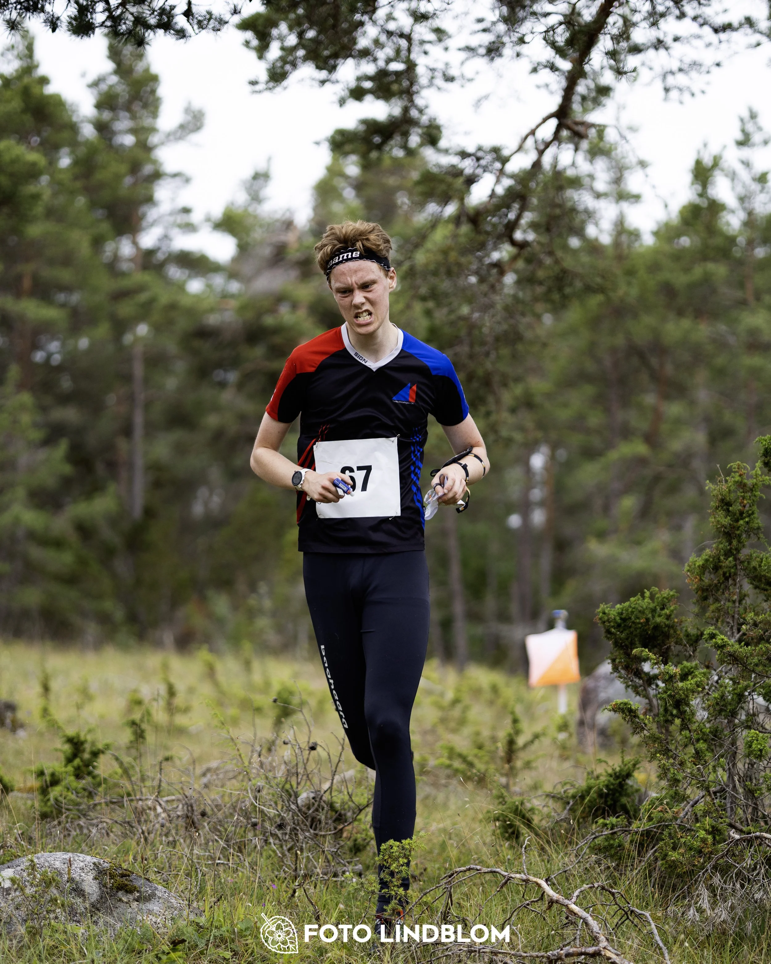 A picture from the Gotlands 2-Dagars orienteering competition