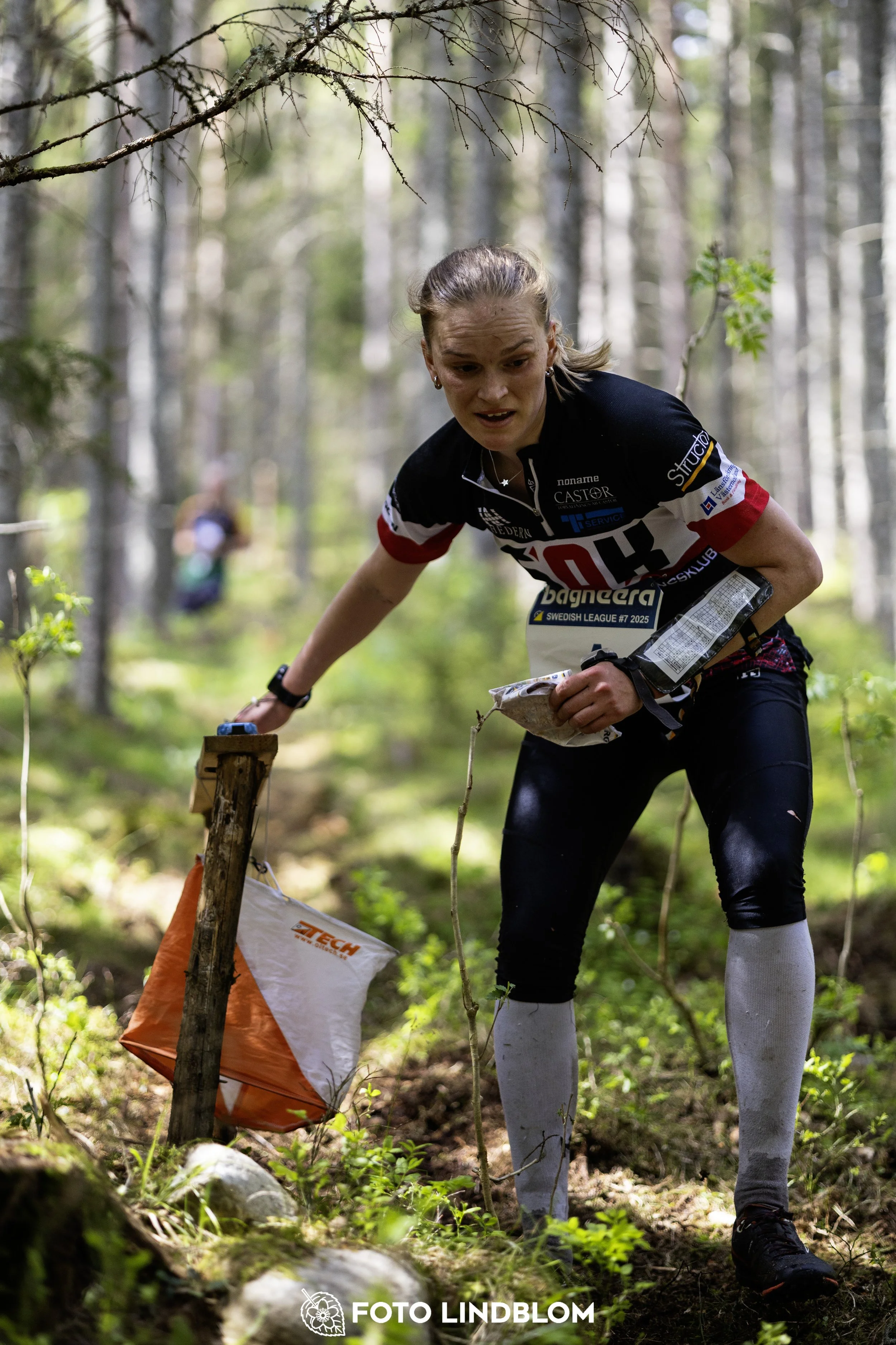 A picture from the seventh stage of the Swedish League orienteering competition