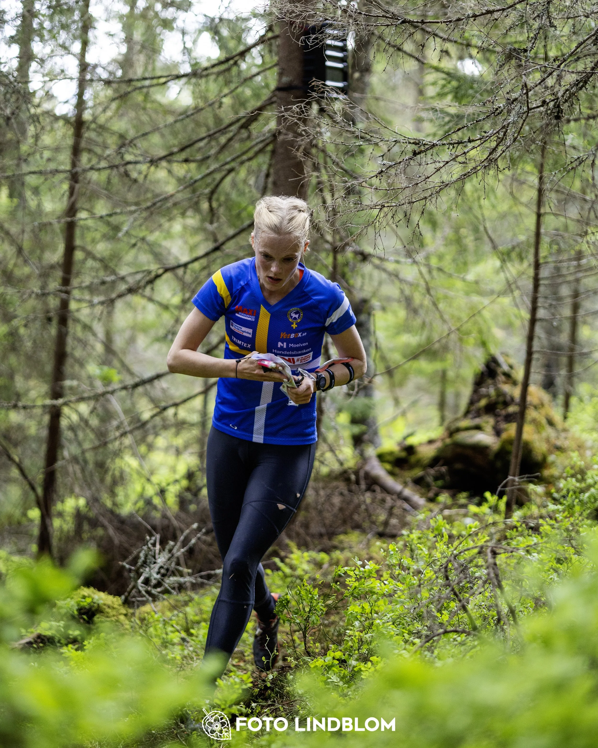 A picture from the seventh stage of the Swedish League orienteering competition