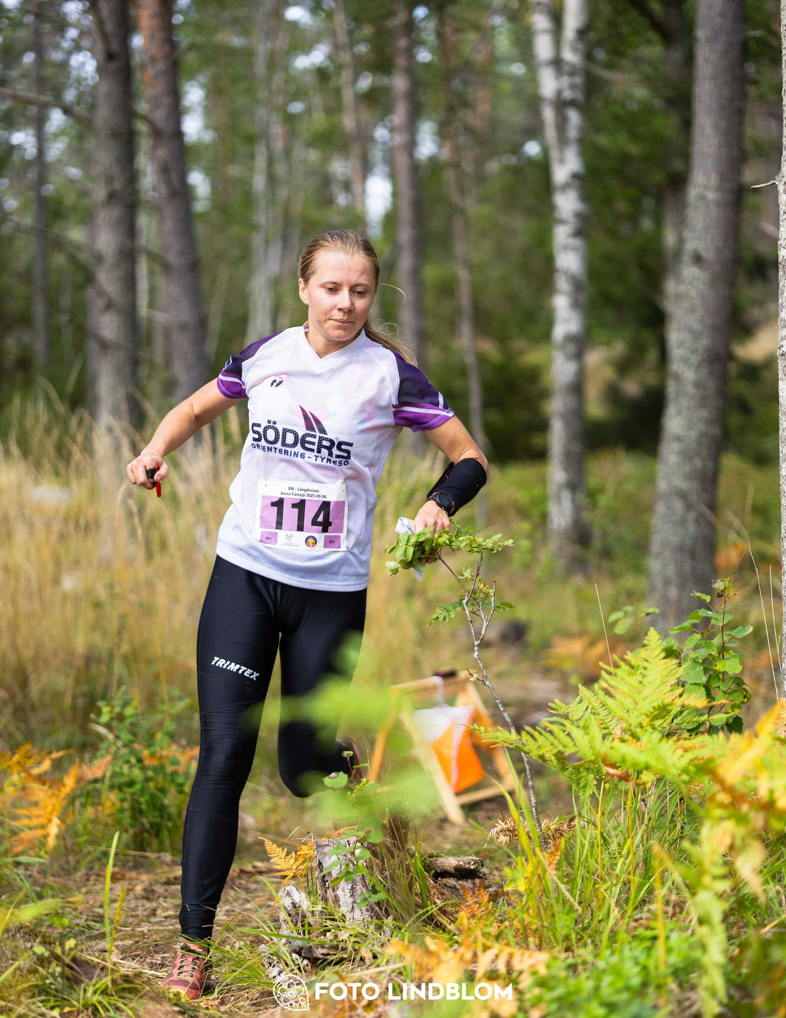 A picture from the Stockholm district championship in middle distance orienteering taken by Foto Lindblom