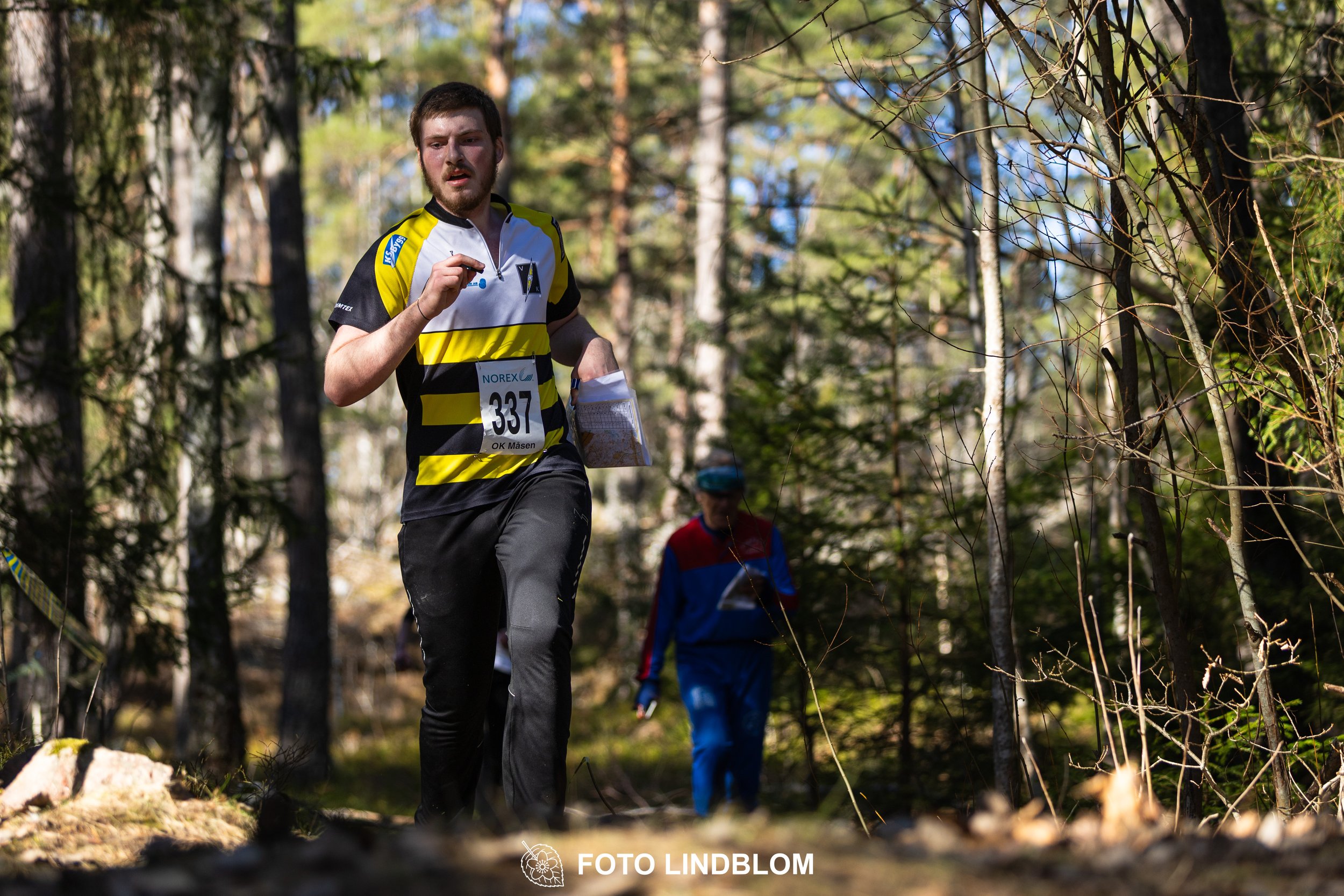 Image from Måsenstafetten 2026 showing orienteering relay teams competing in Swedish forest terrain, taken by Foto Lindblom.