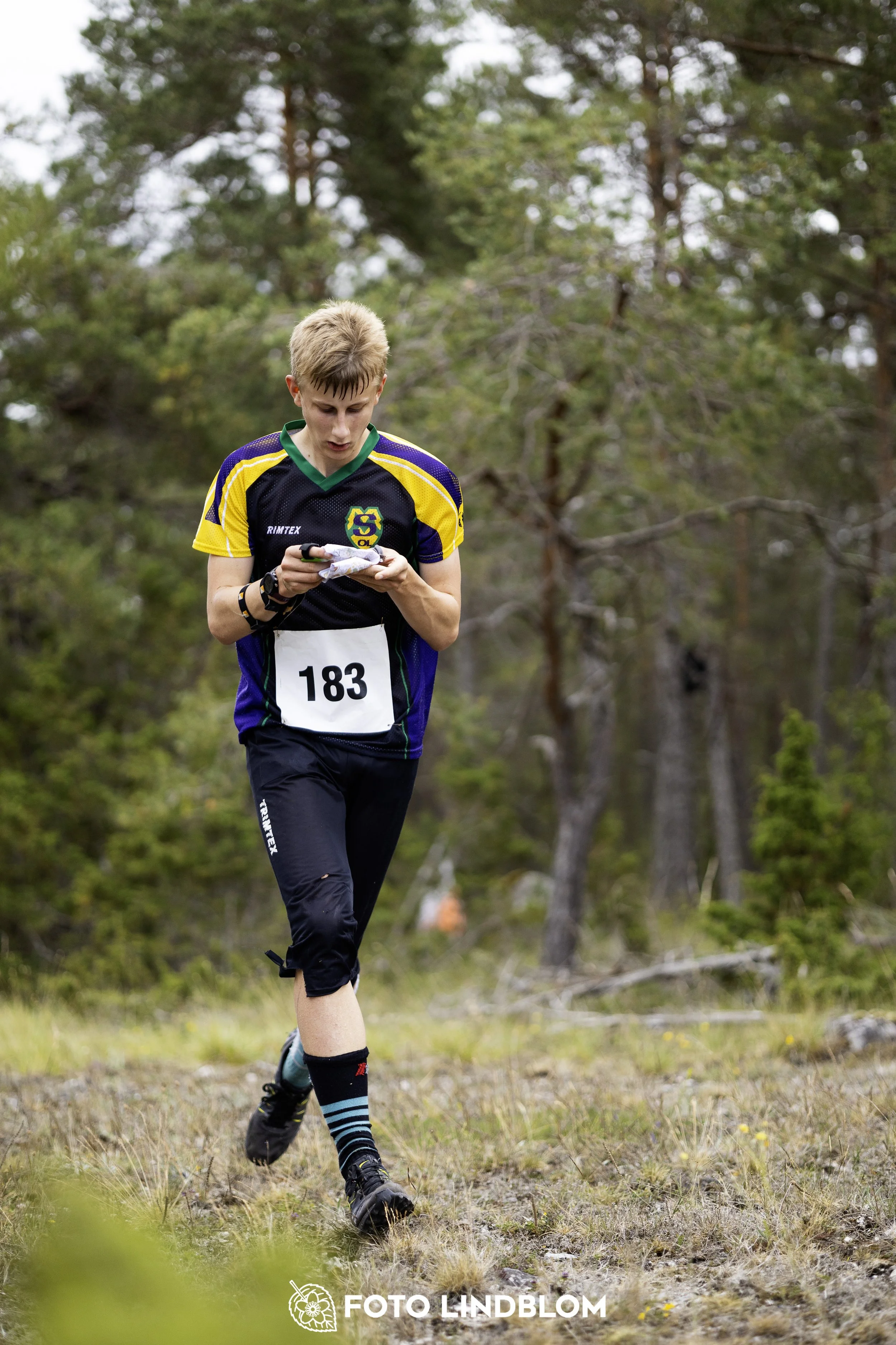 A picture from the Gotlands 2-Dagars orienteering competition