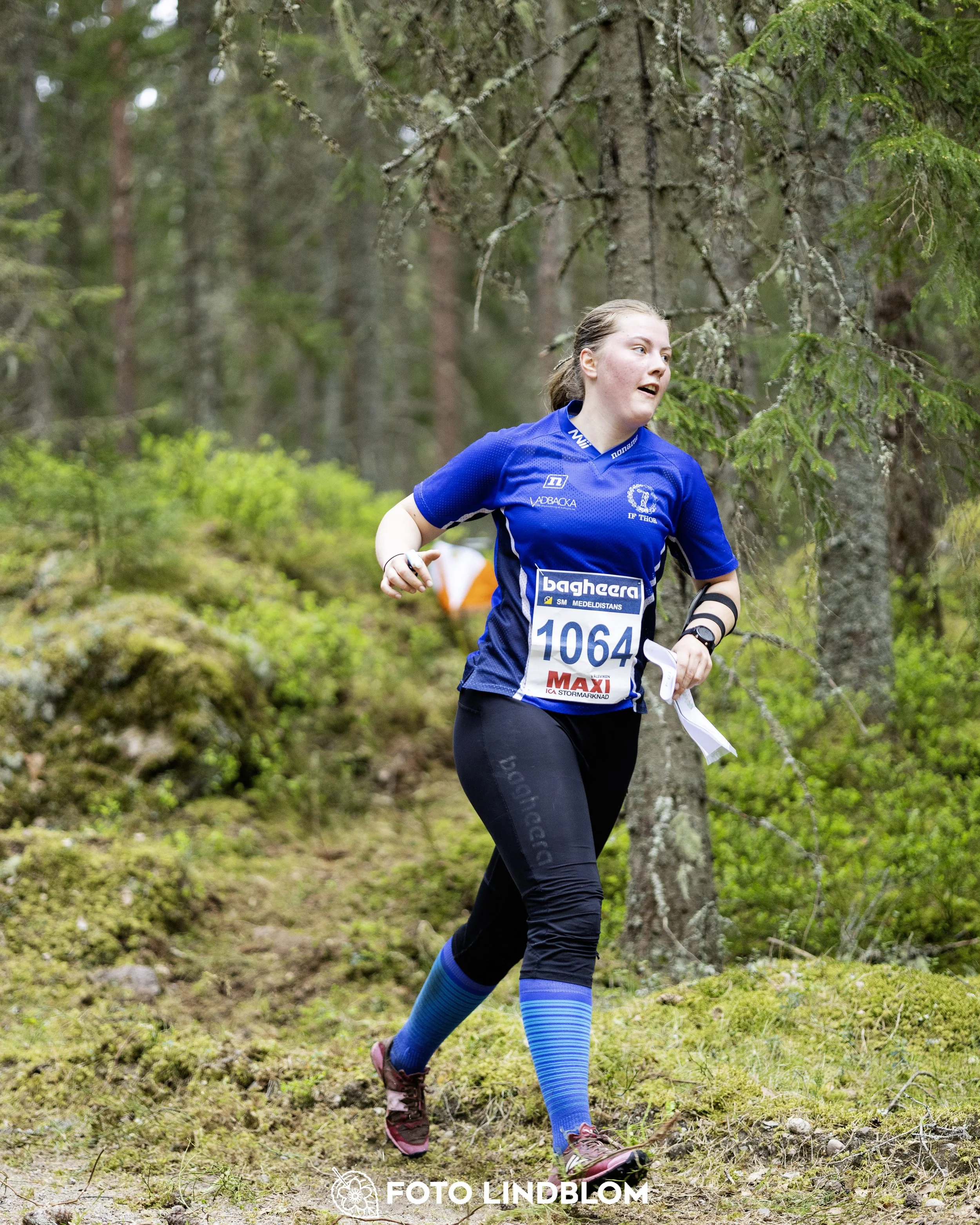 A picture from the Swedish national championship in middle distance orienteering and Swedish league race