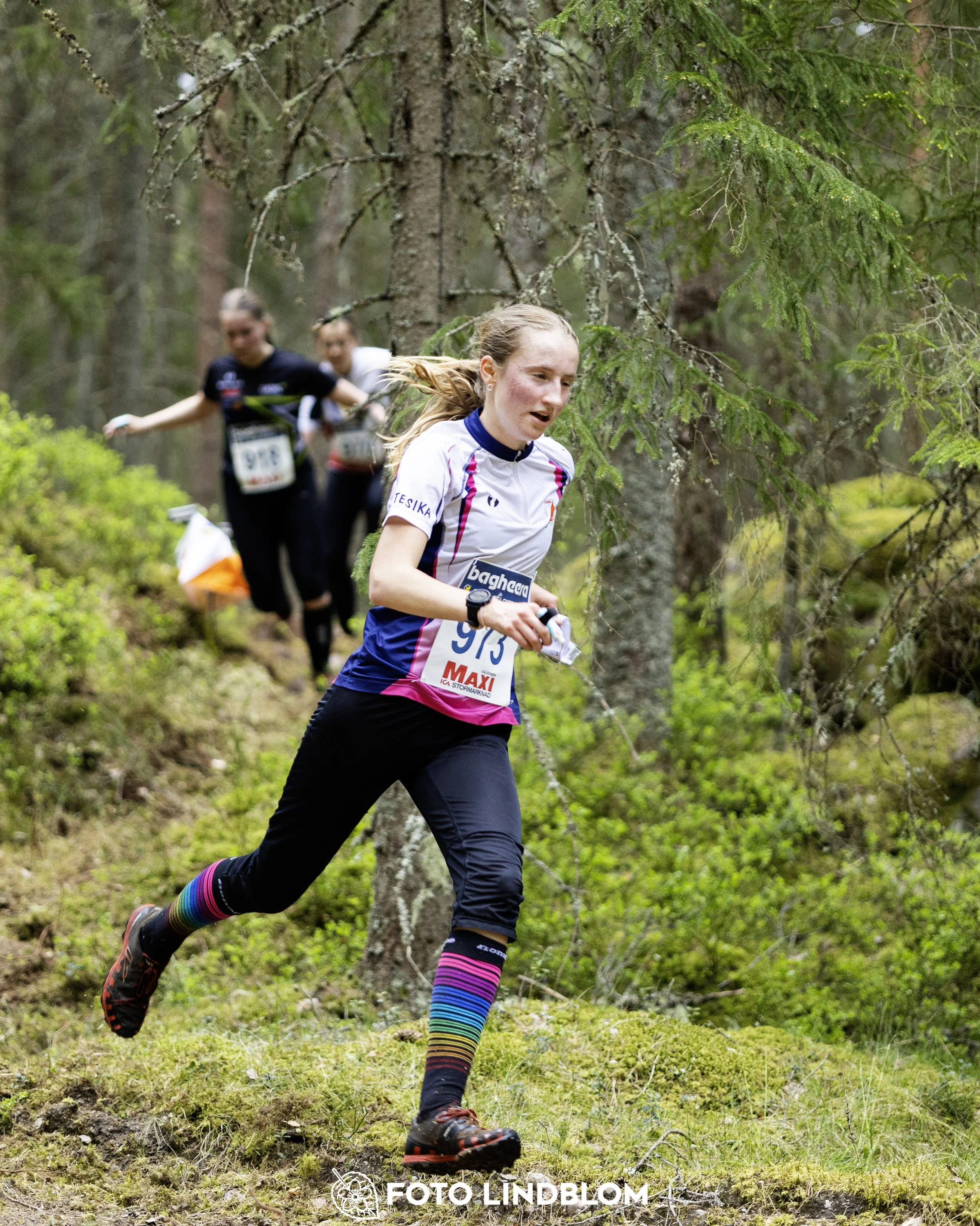 A picture from the Swedish national championship in middle distance orienteering and Swedish league race