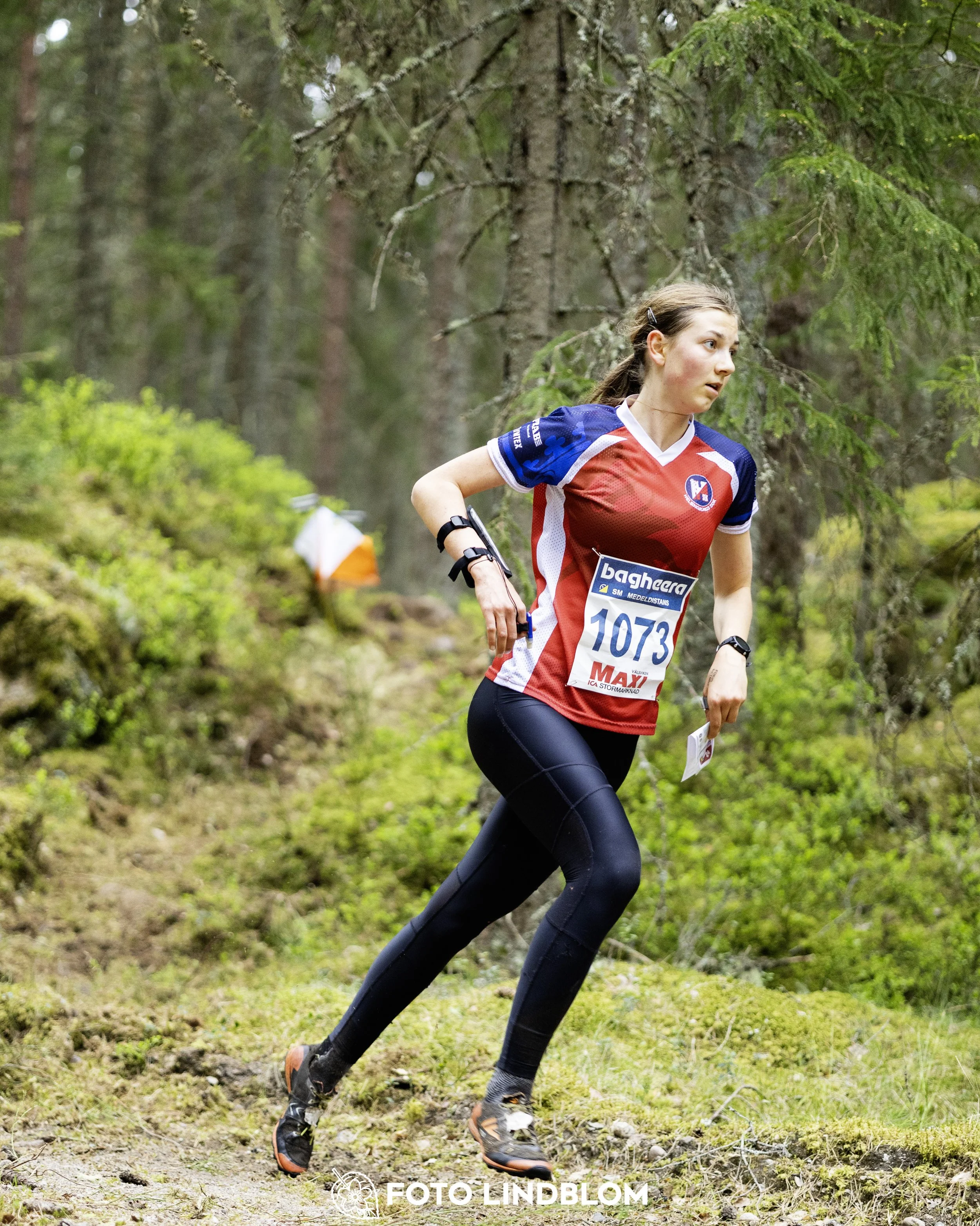 A picture from the Swedish national championship in middle distance orienteering and Swedish league race