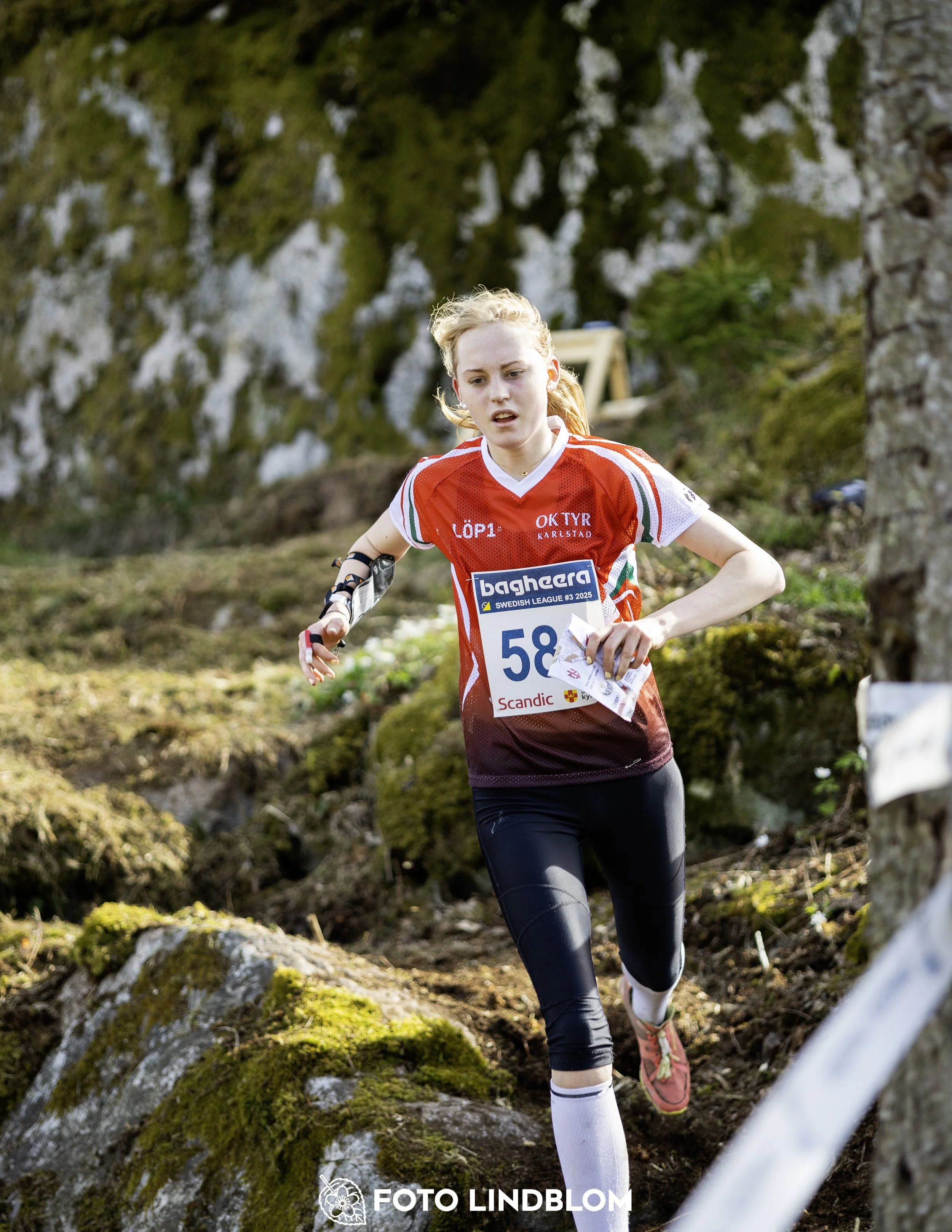 A picture from the third stage of the Swedish League orienteering competition