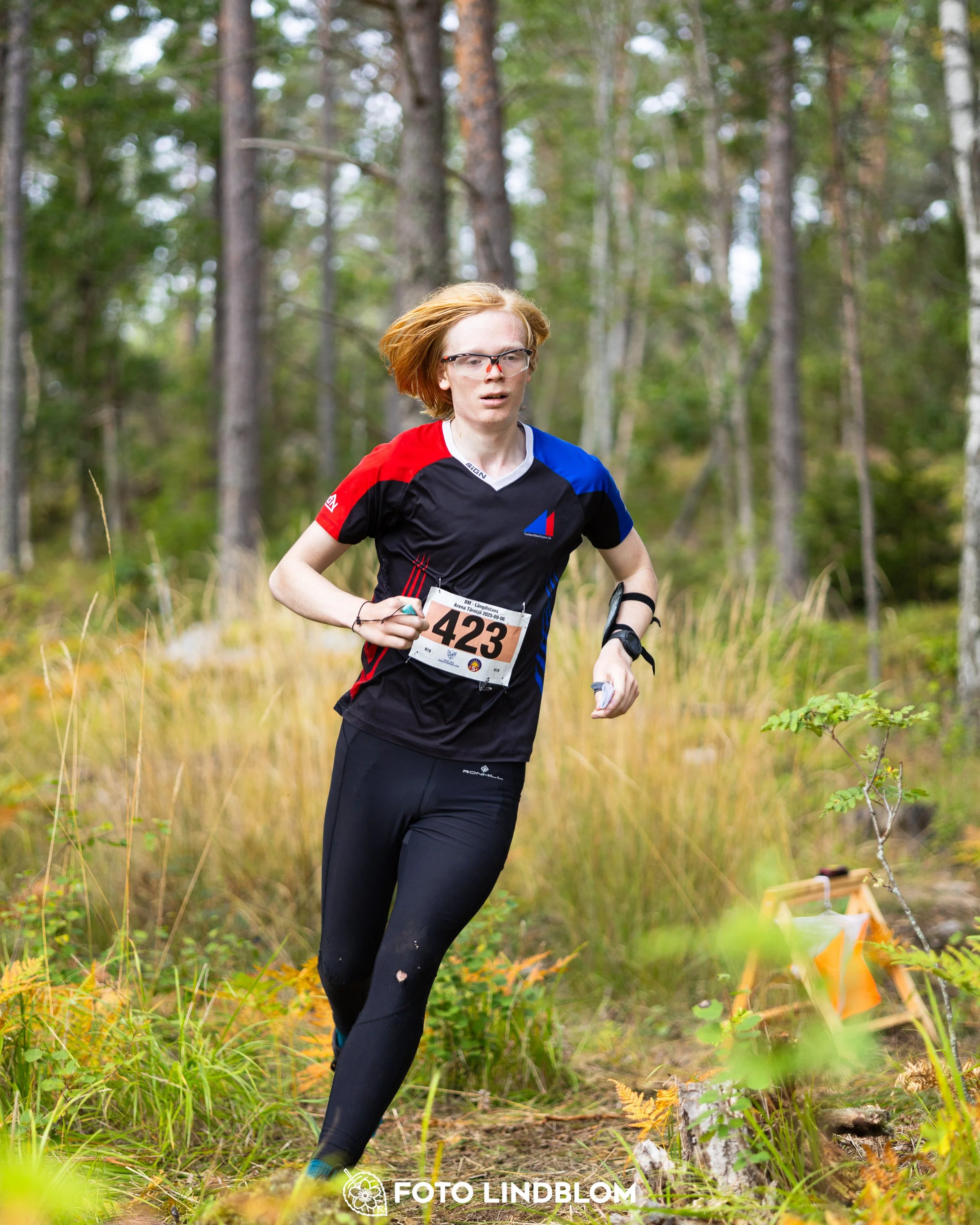 A picture from the Stockholm district championship in middle distance orienteering taken by Foto Lindblom