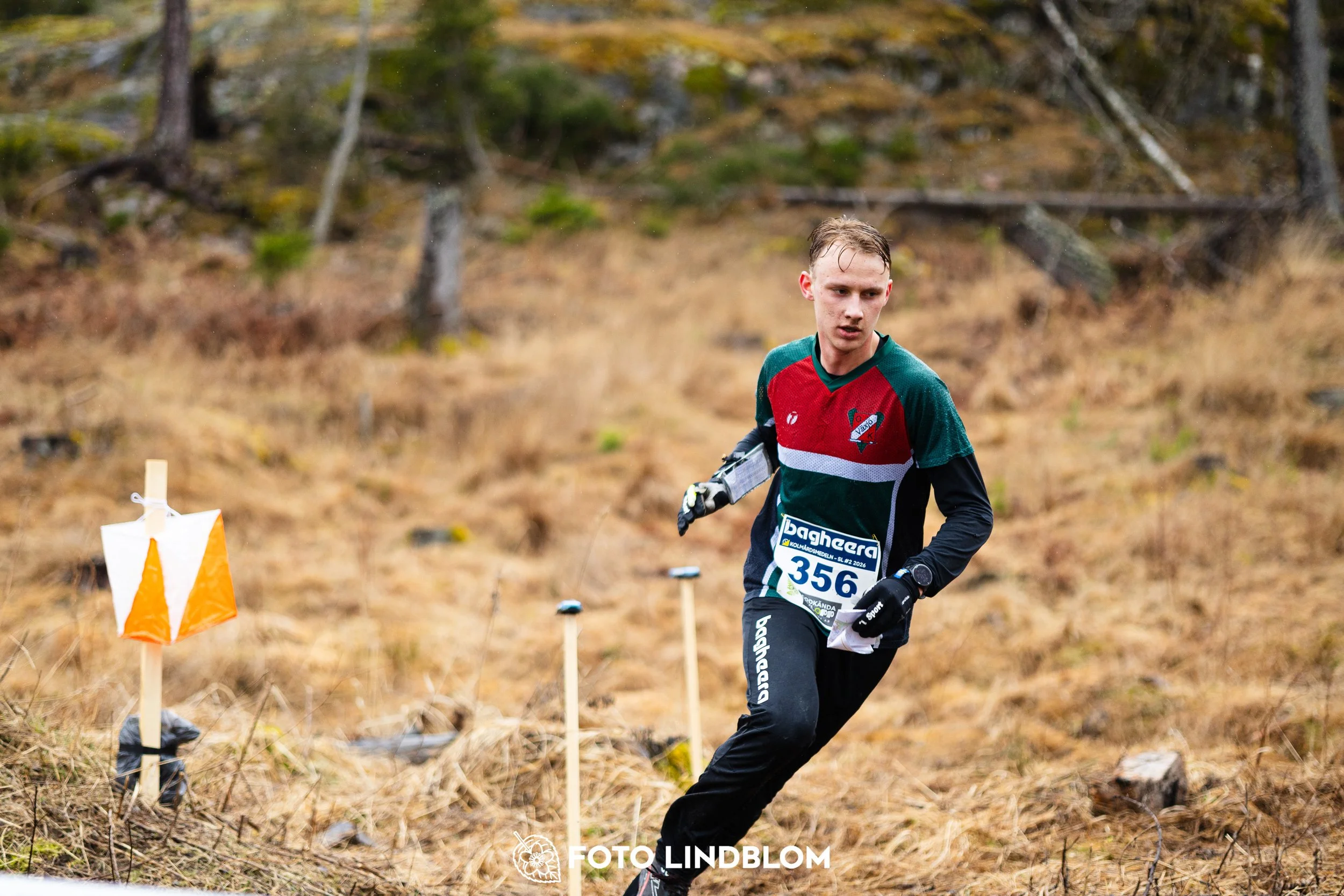 A moment from a middle distance orienteering race in Kolmården during the Swedish League 2026, captured by Foto Lindblom.