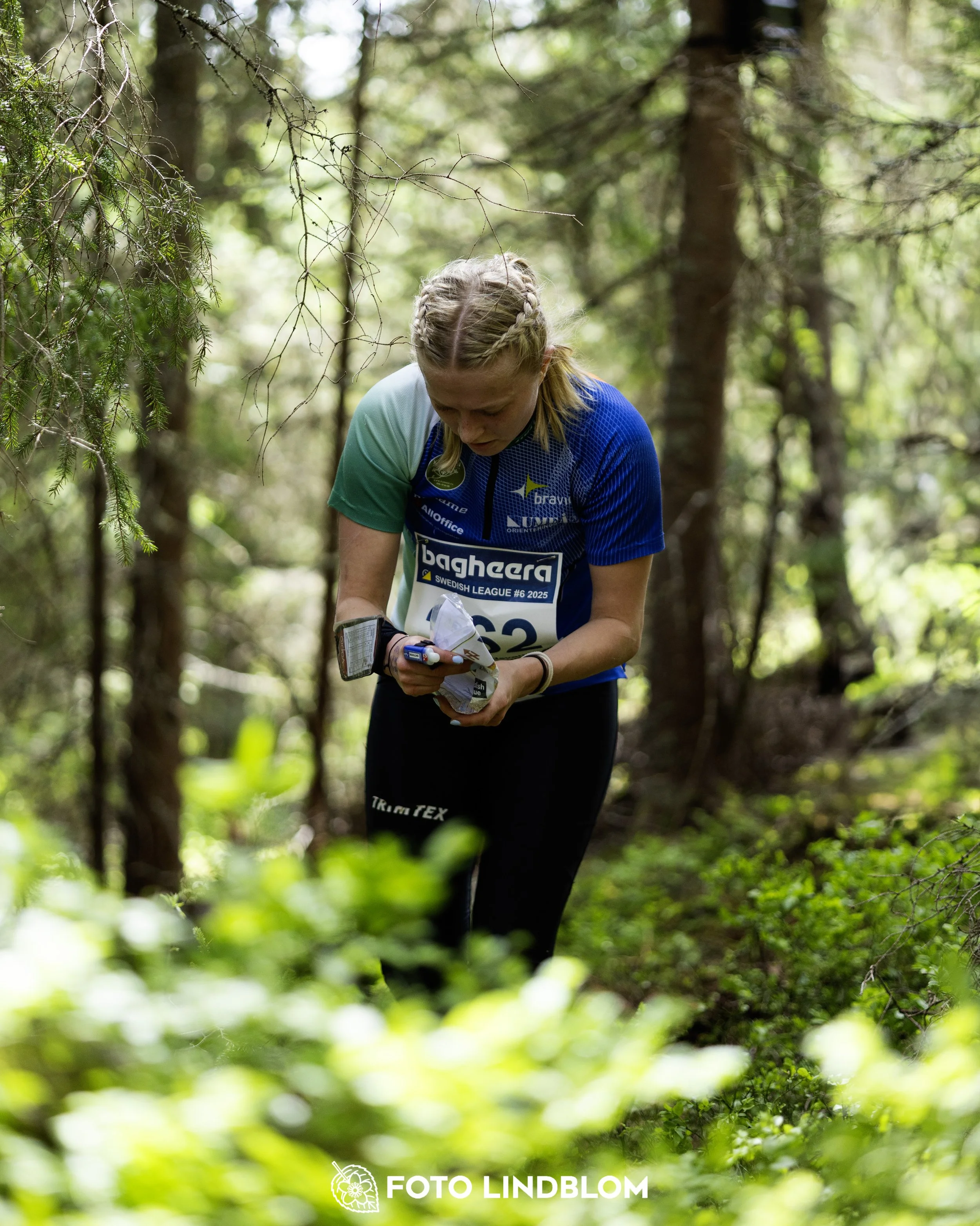 A picture from the seventh stage of the Swedish League orienteering competition