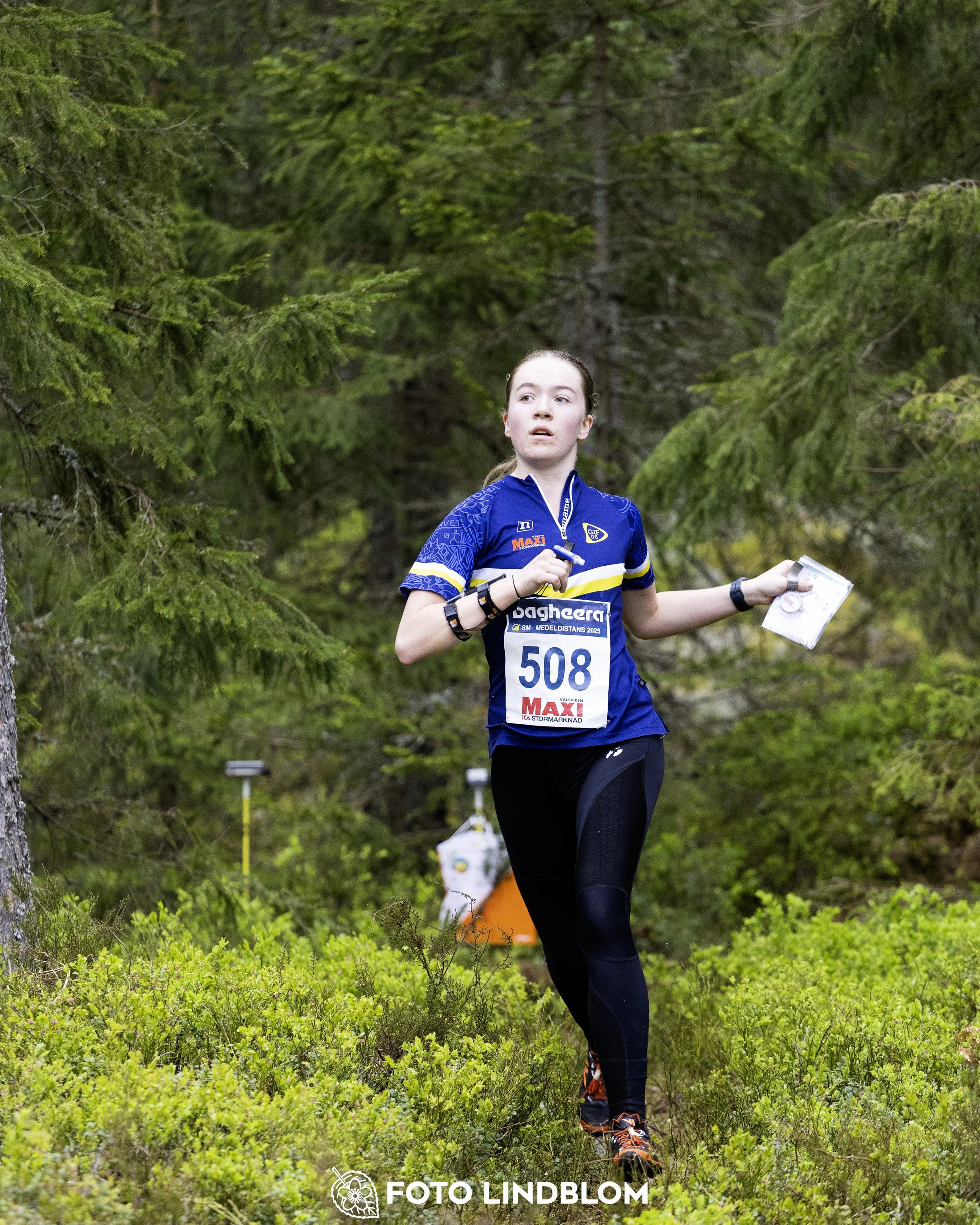 A picture from the Swedish national championship in middle distance orienteering and Swedish league race