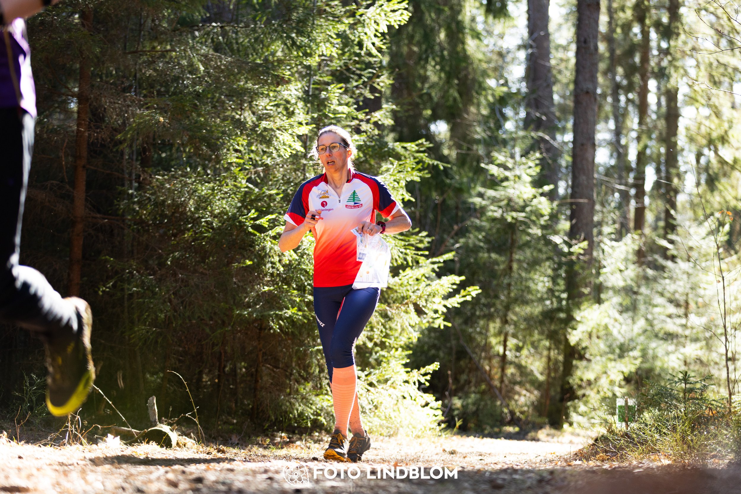 Orienteering in forest terrain at Nyköpingsorienteringen 2026, photographed by Foto Lindblom.