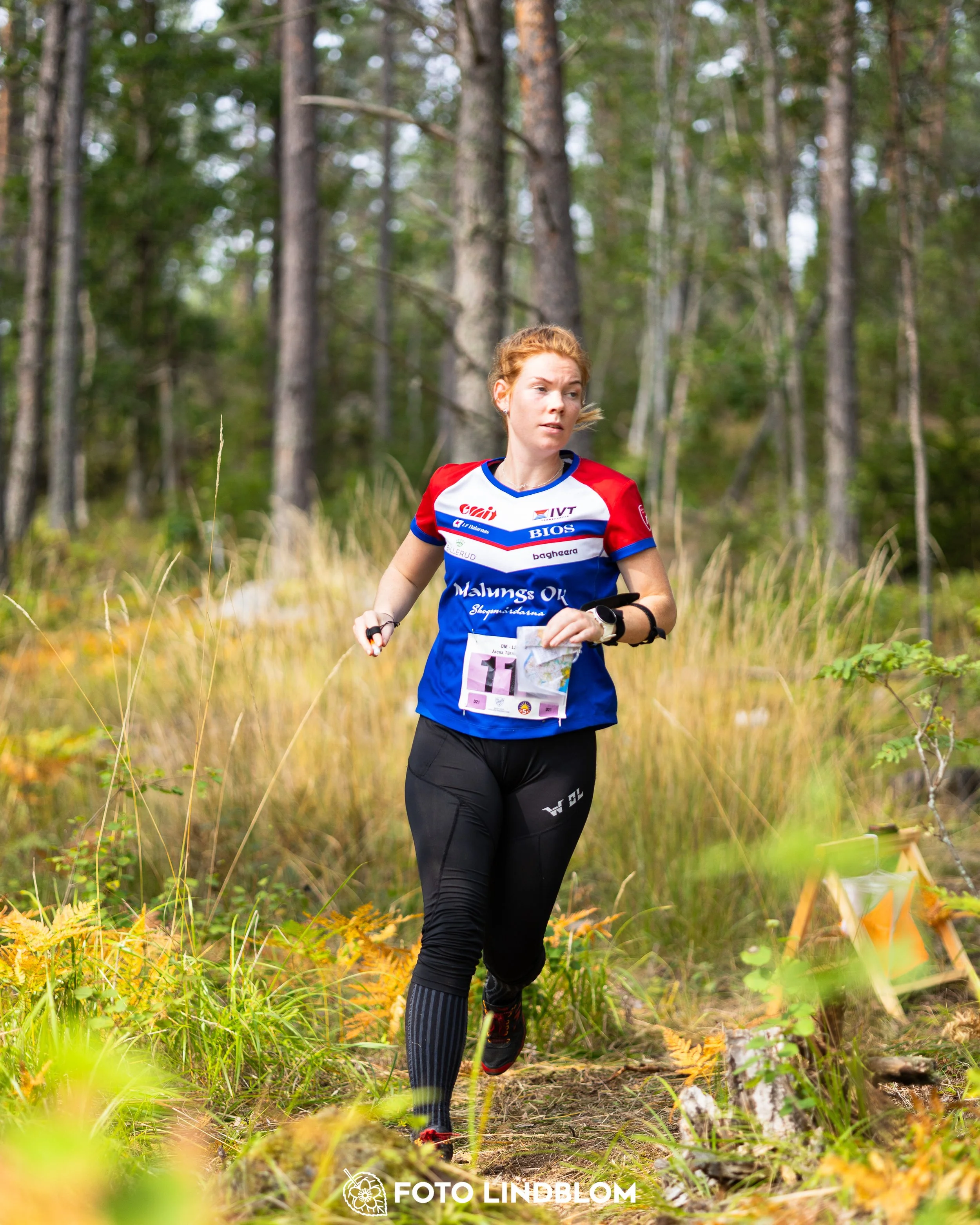 A picture from the Stockholm district championship in middle distance orienteering taken by Foto Lindblom