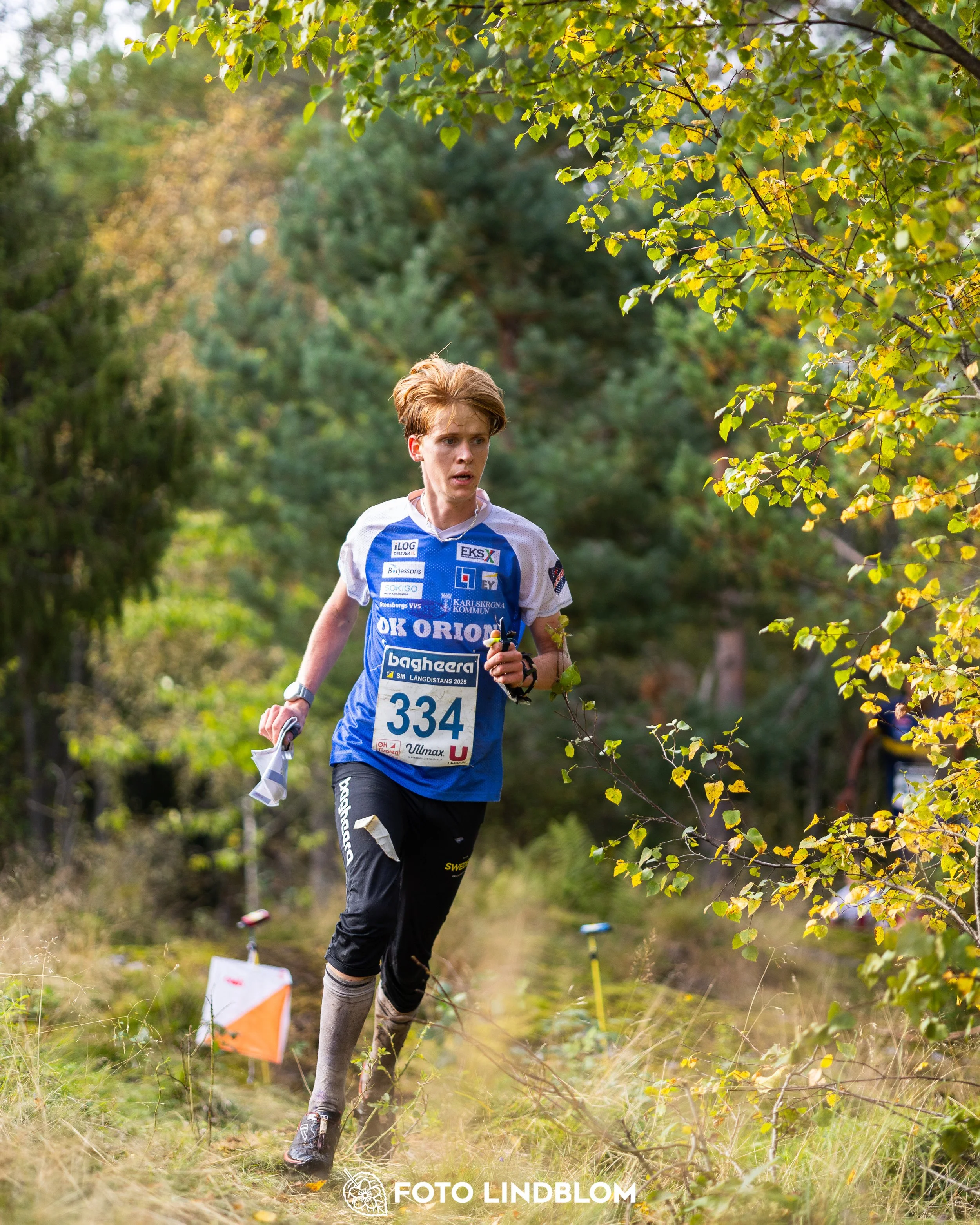 A picture from the Swedish national championship in long distance orienteering and Swedish league race taken by Foto Lindblom