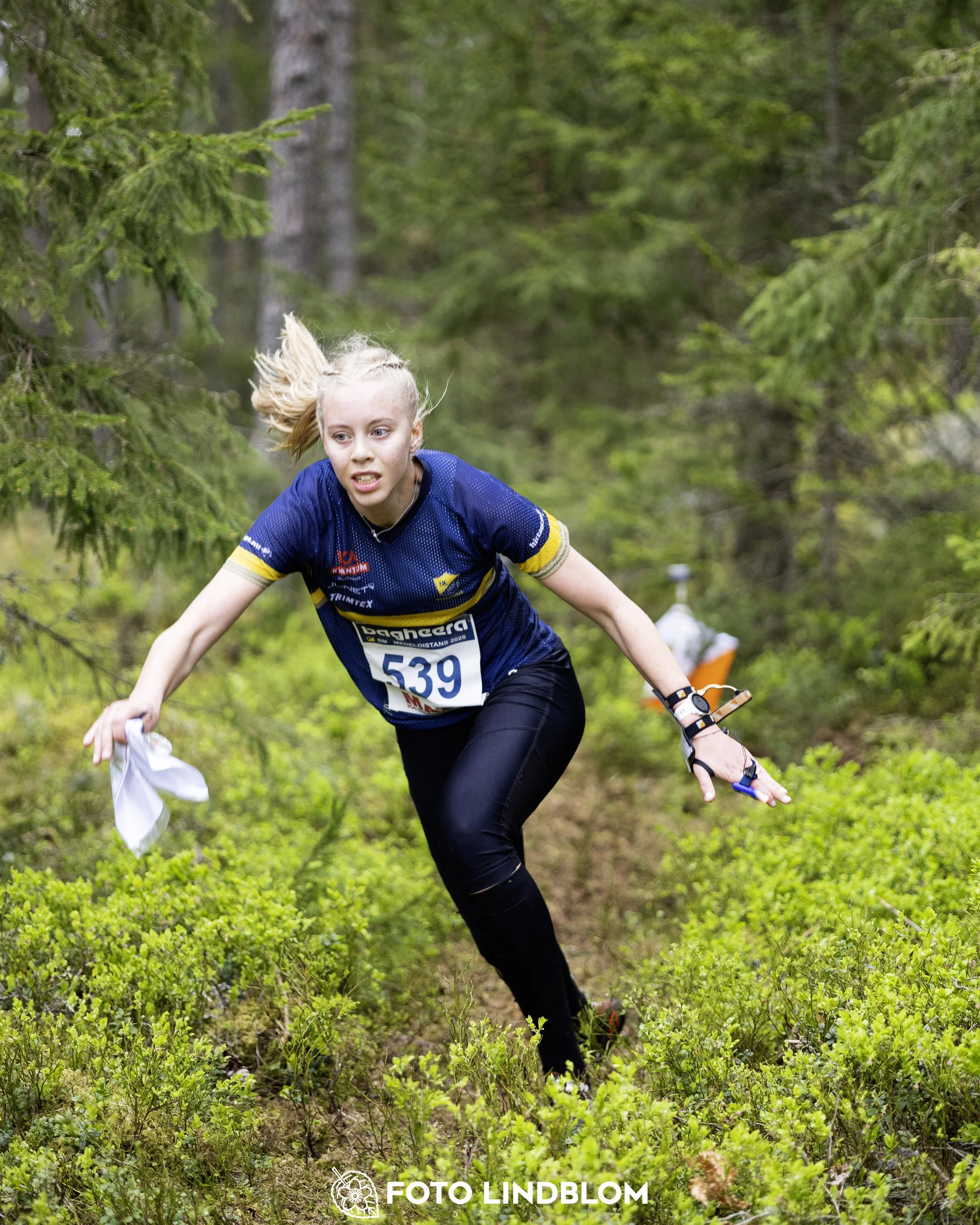 A picture from the Swedish national championship in middle distance orienteering and Swedish league race
